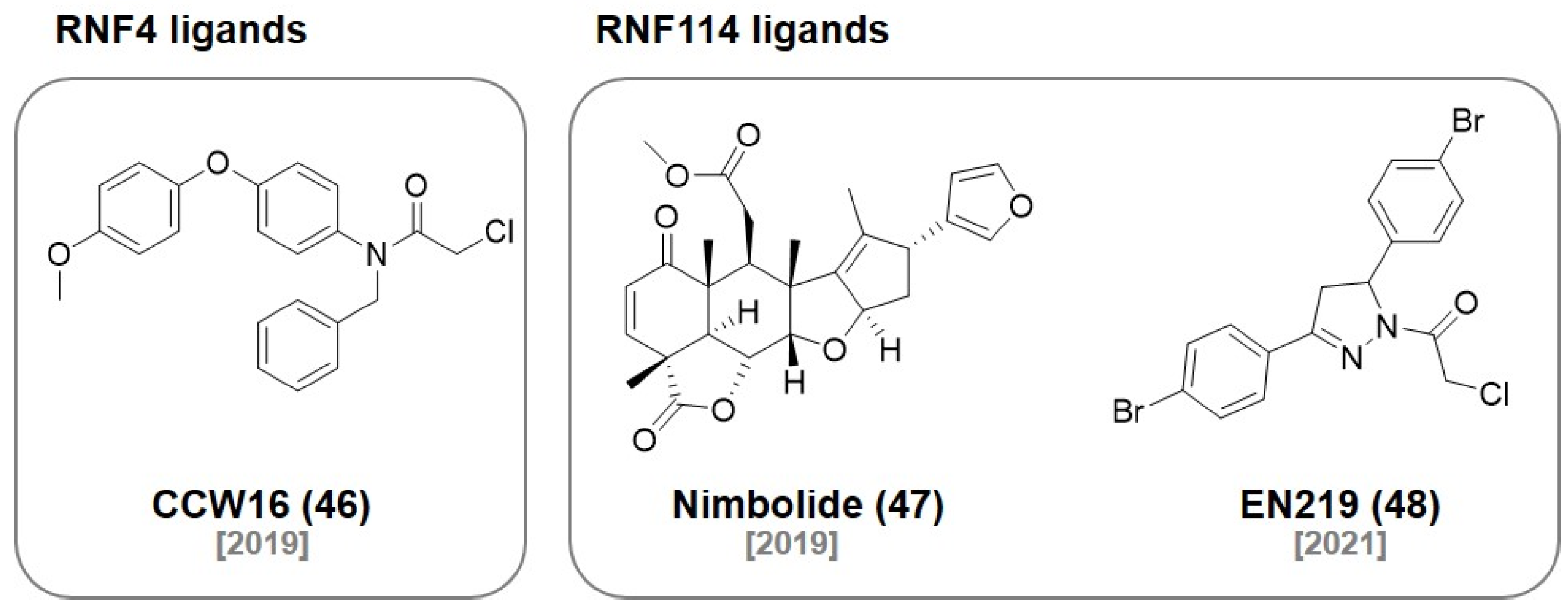 Molecules 27 06515 g014 Molecules 27 06515 g014