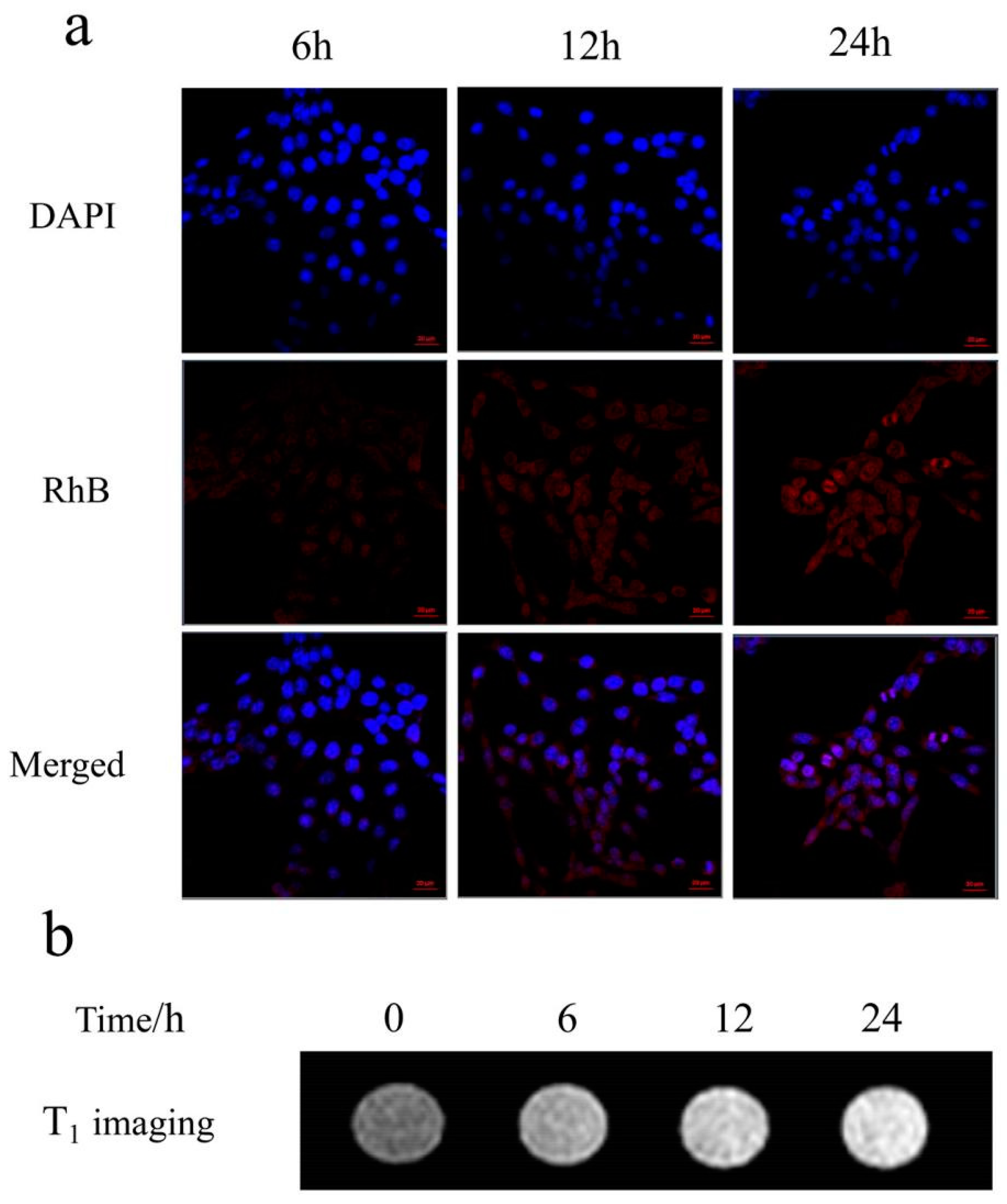 Molecules 27 06519 g007