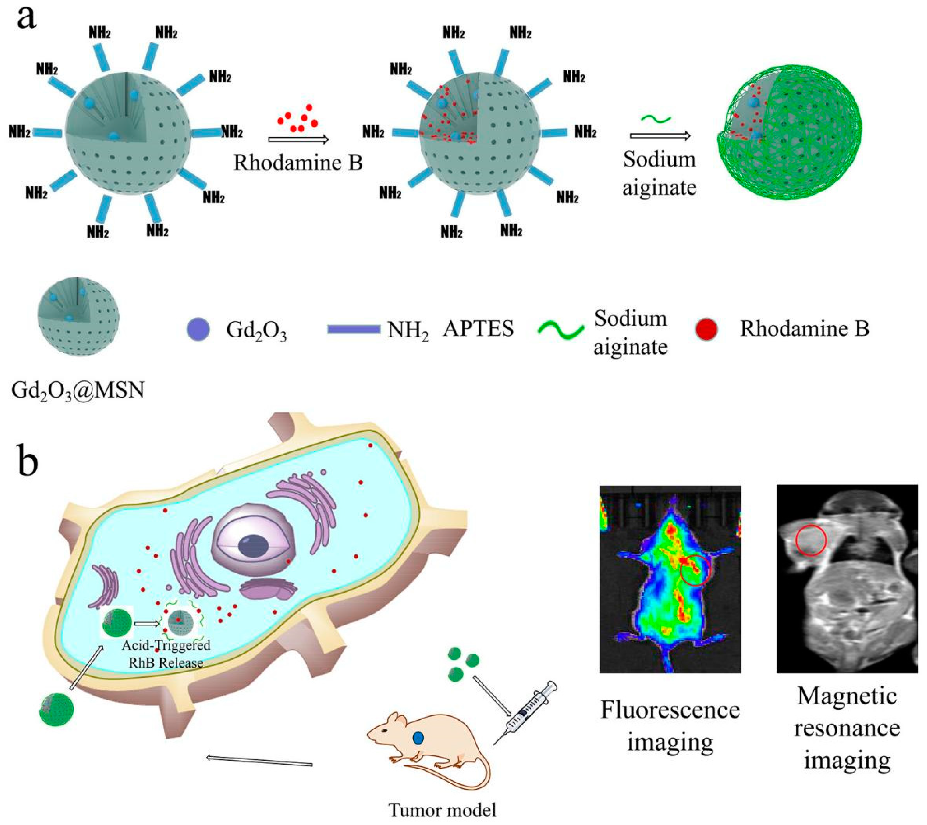 Molecules 27 06519 sch001
