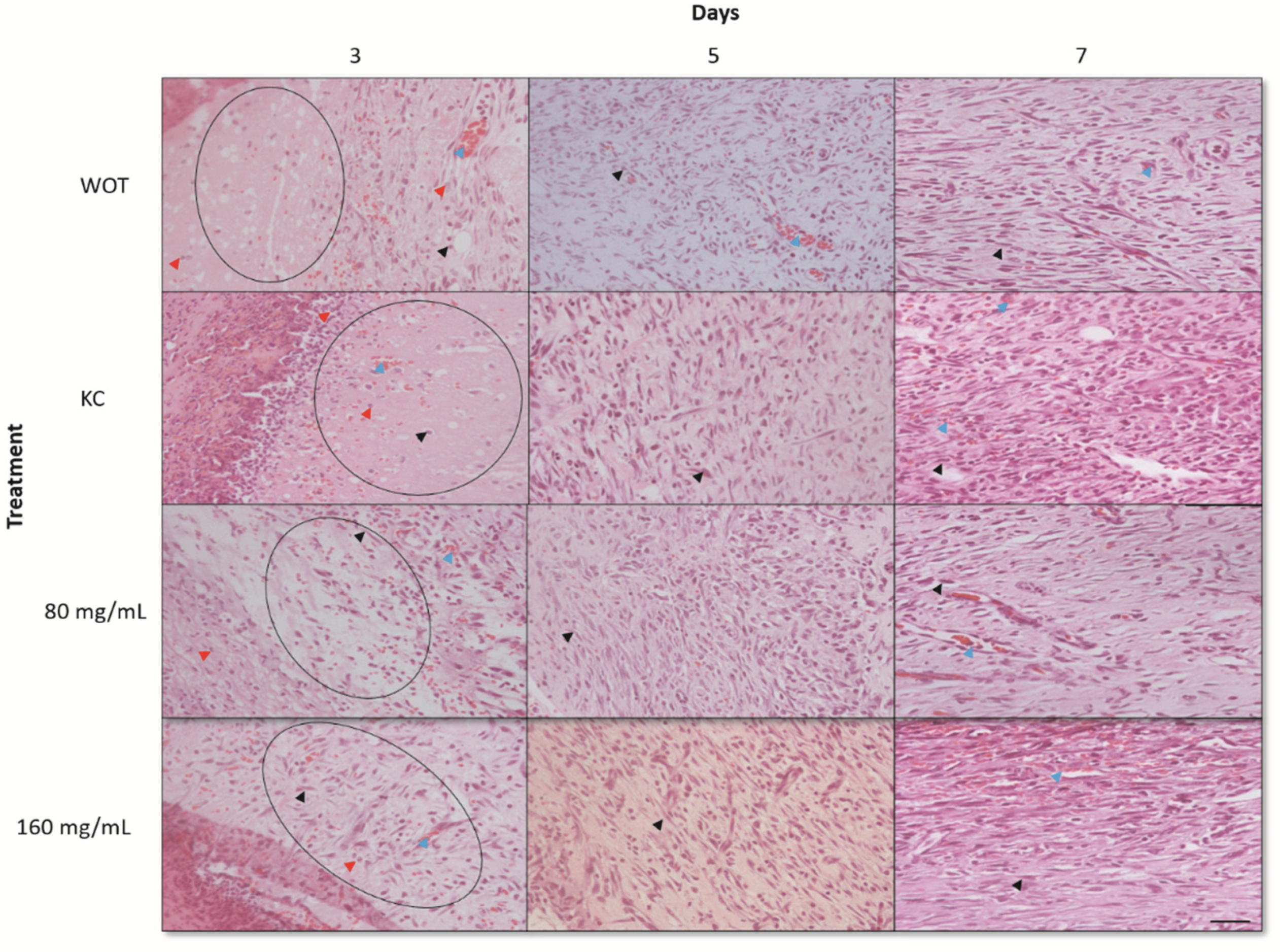 Molecules 27 06521 g004