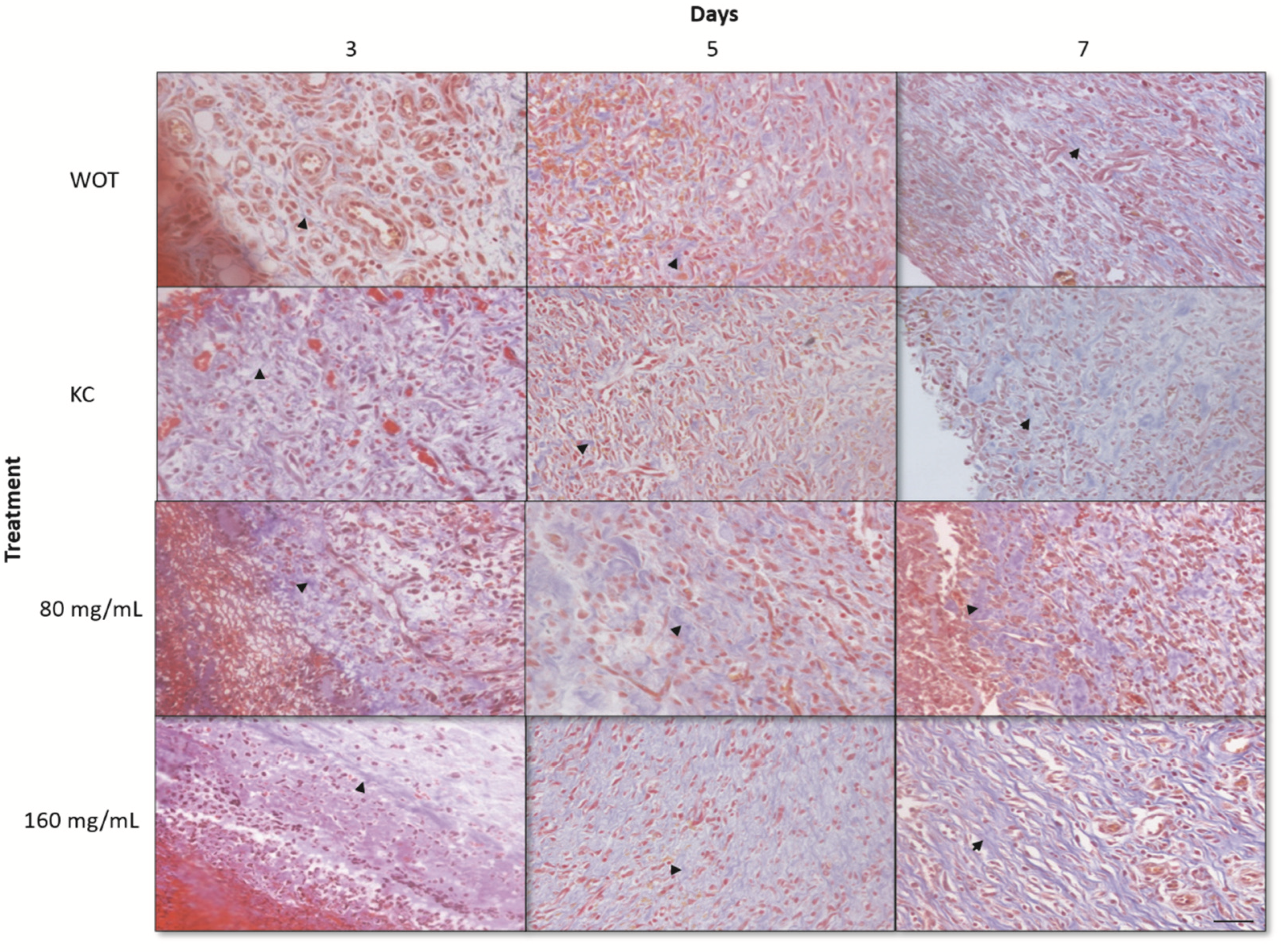Molecules 27 06521 g005