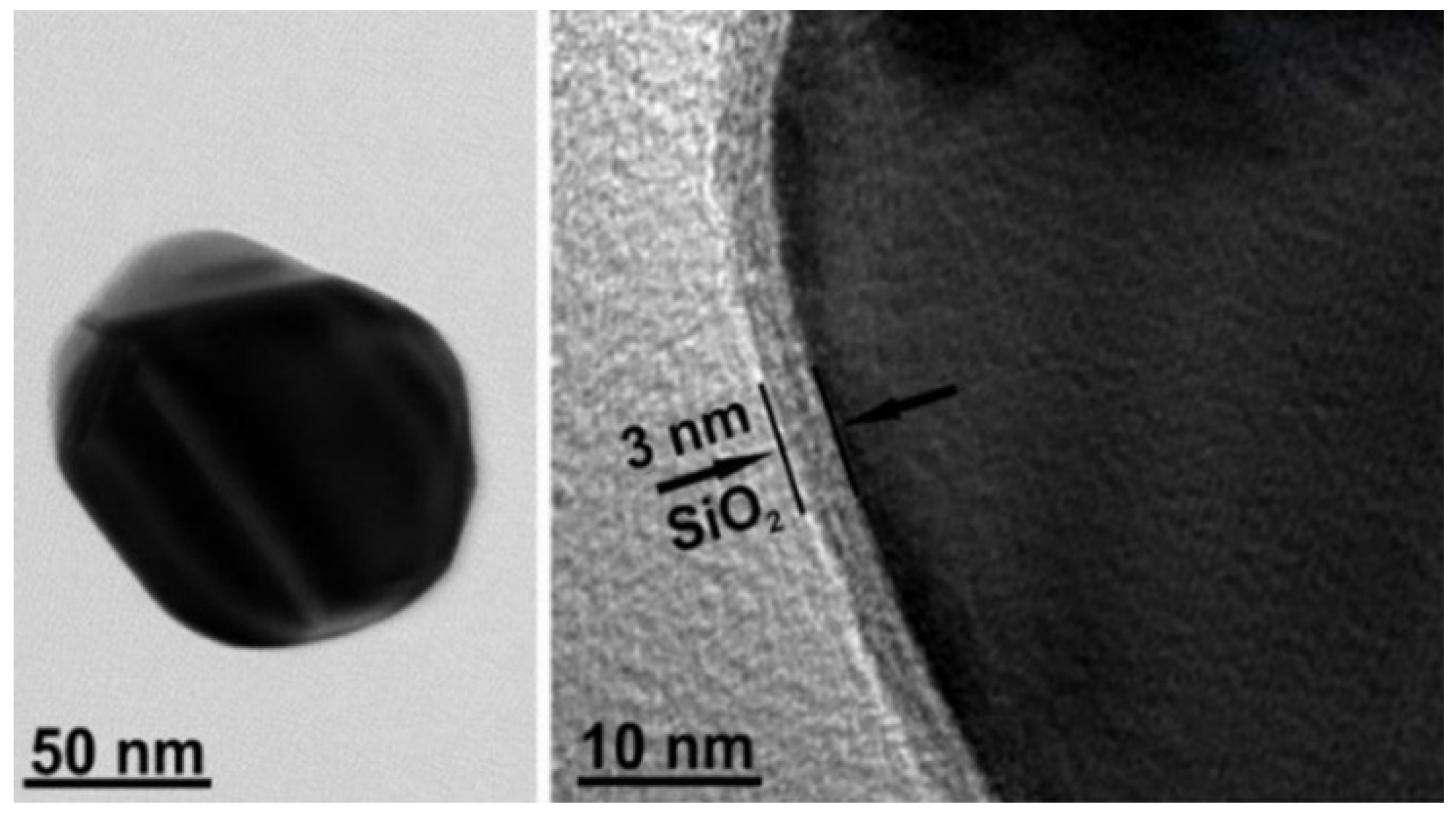 Molecules 27 06531 g002