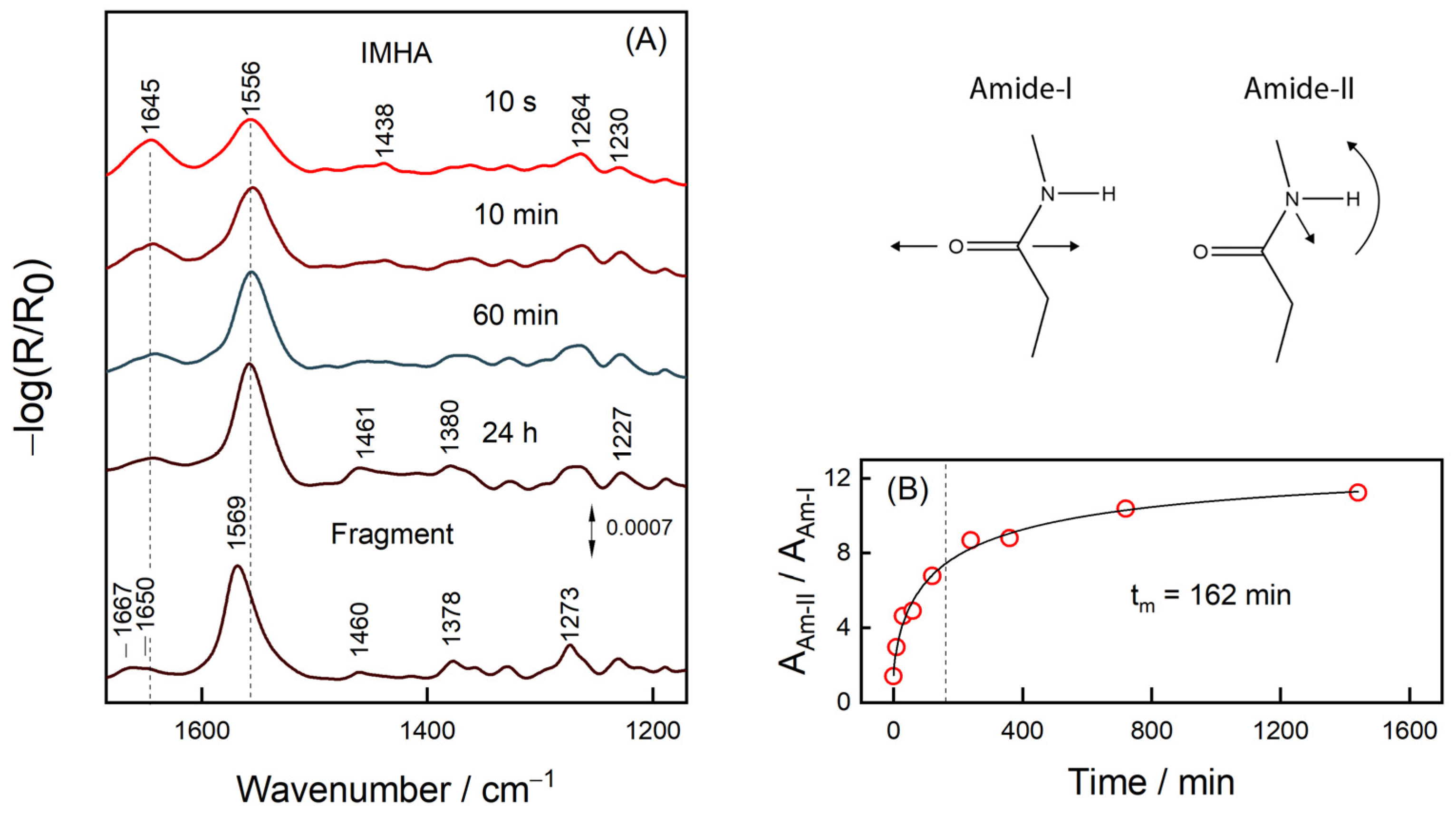 Molecules 27 06531 g005