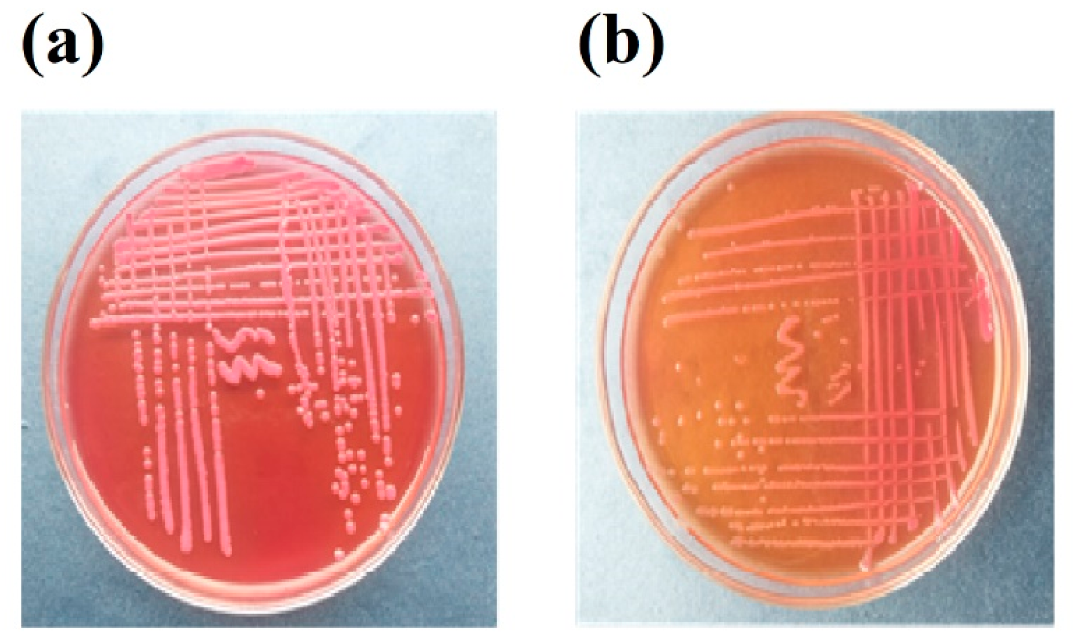 Molecules 27 06536 g001