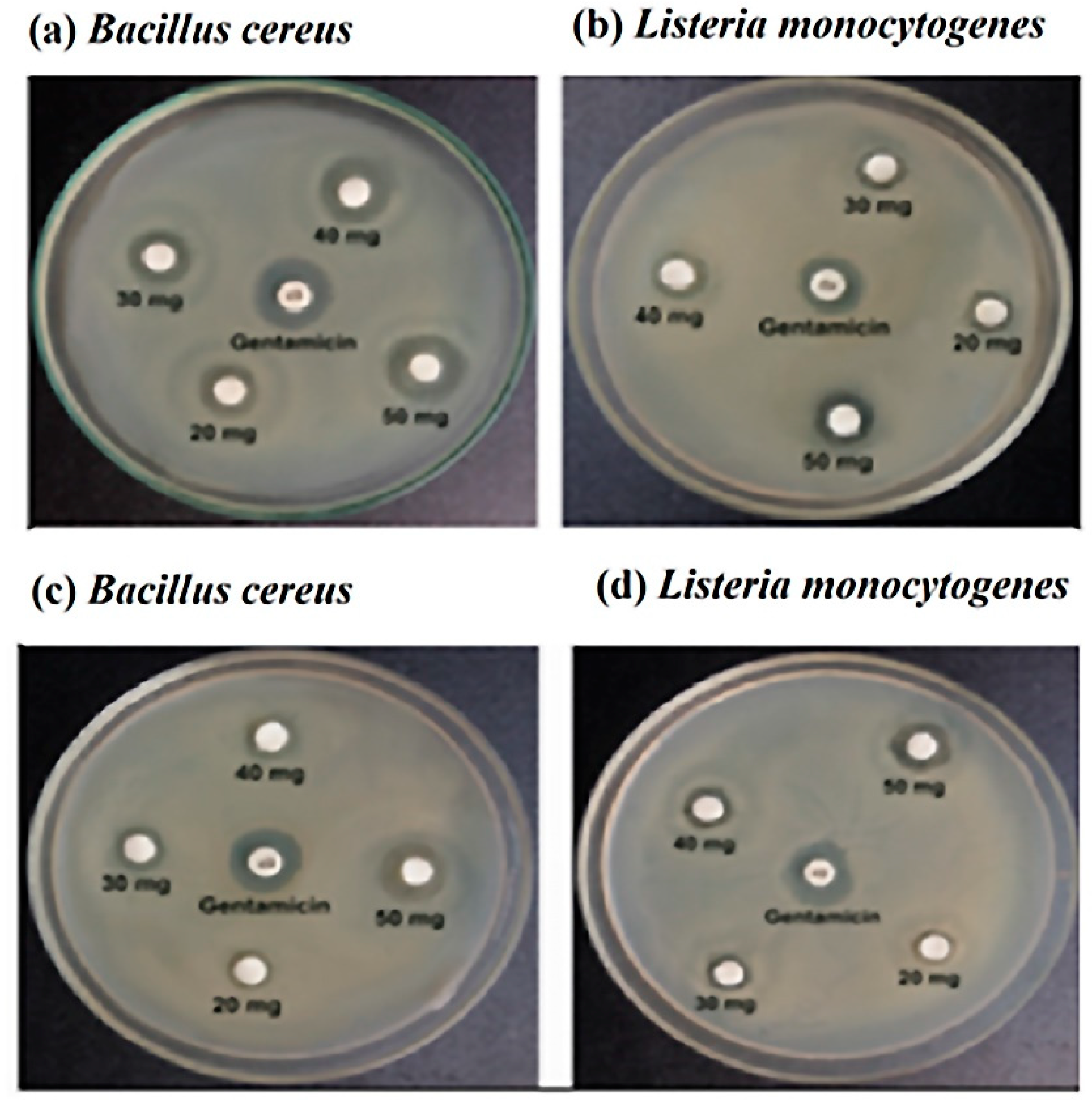 Molecules 27 06536 g002