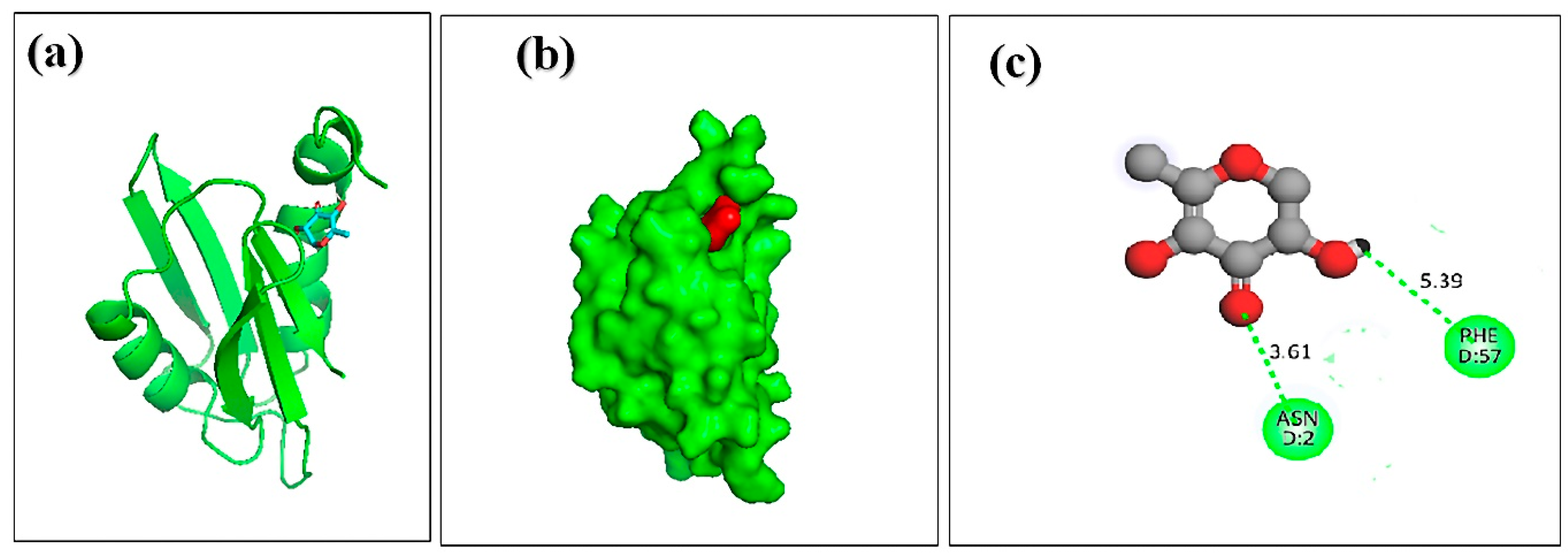 Molecules 27 06536 g006