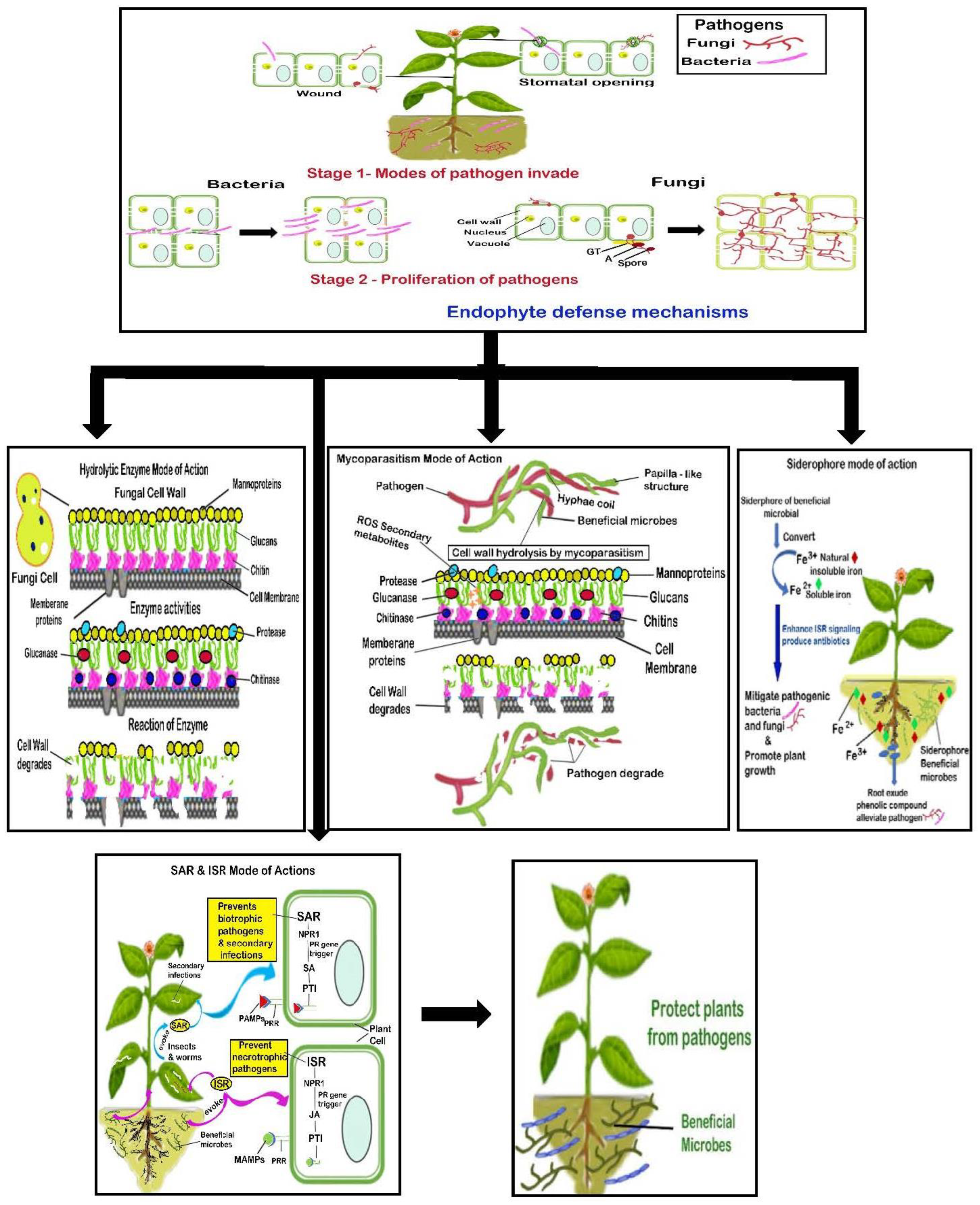 Molecules 27 06549 g001