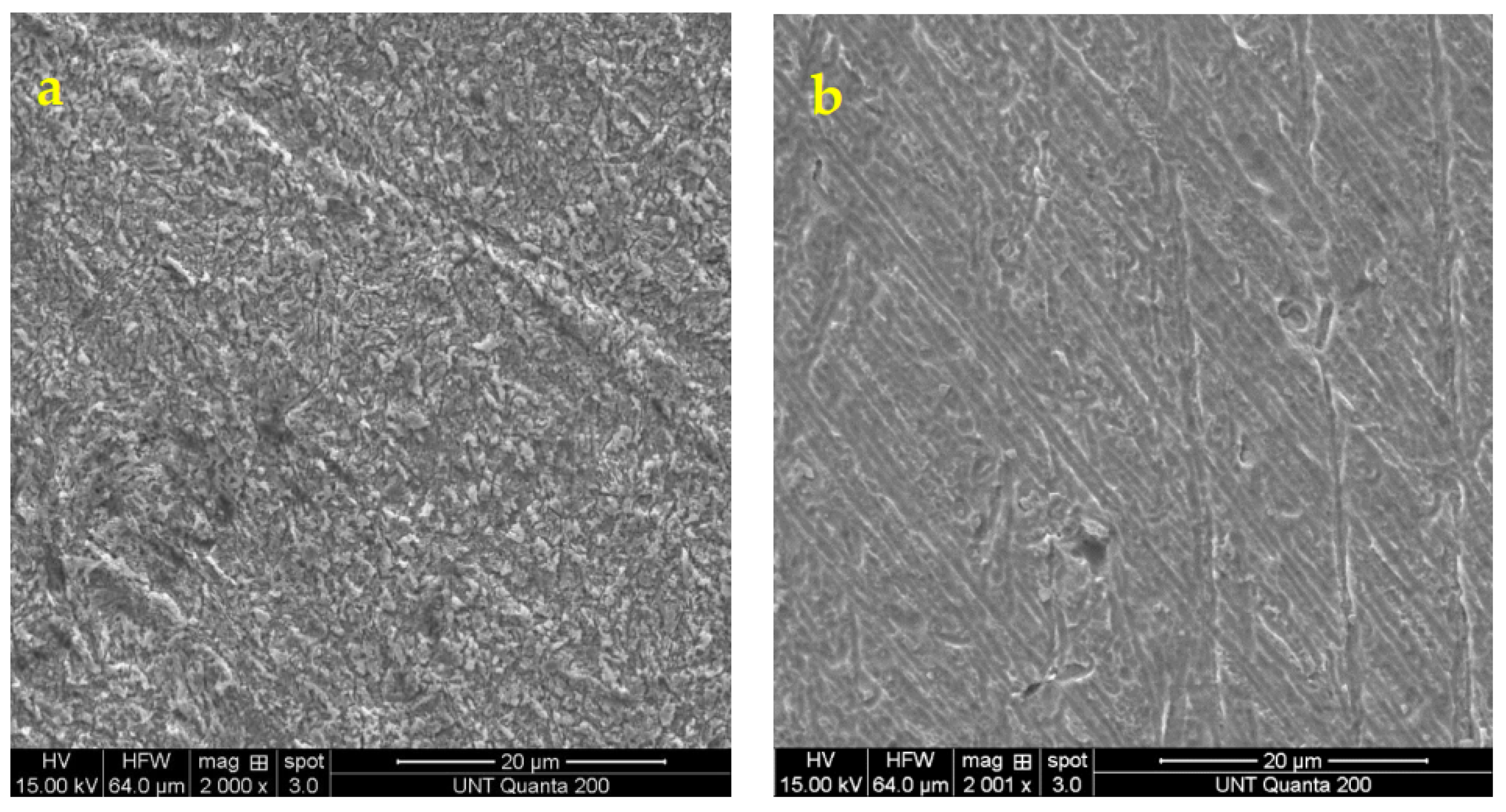 Molecules 27 06550 g004