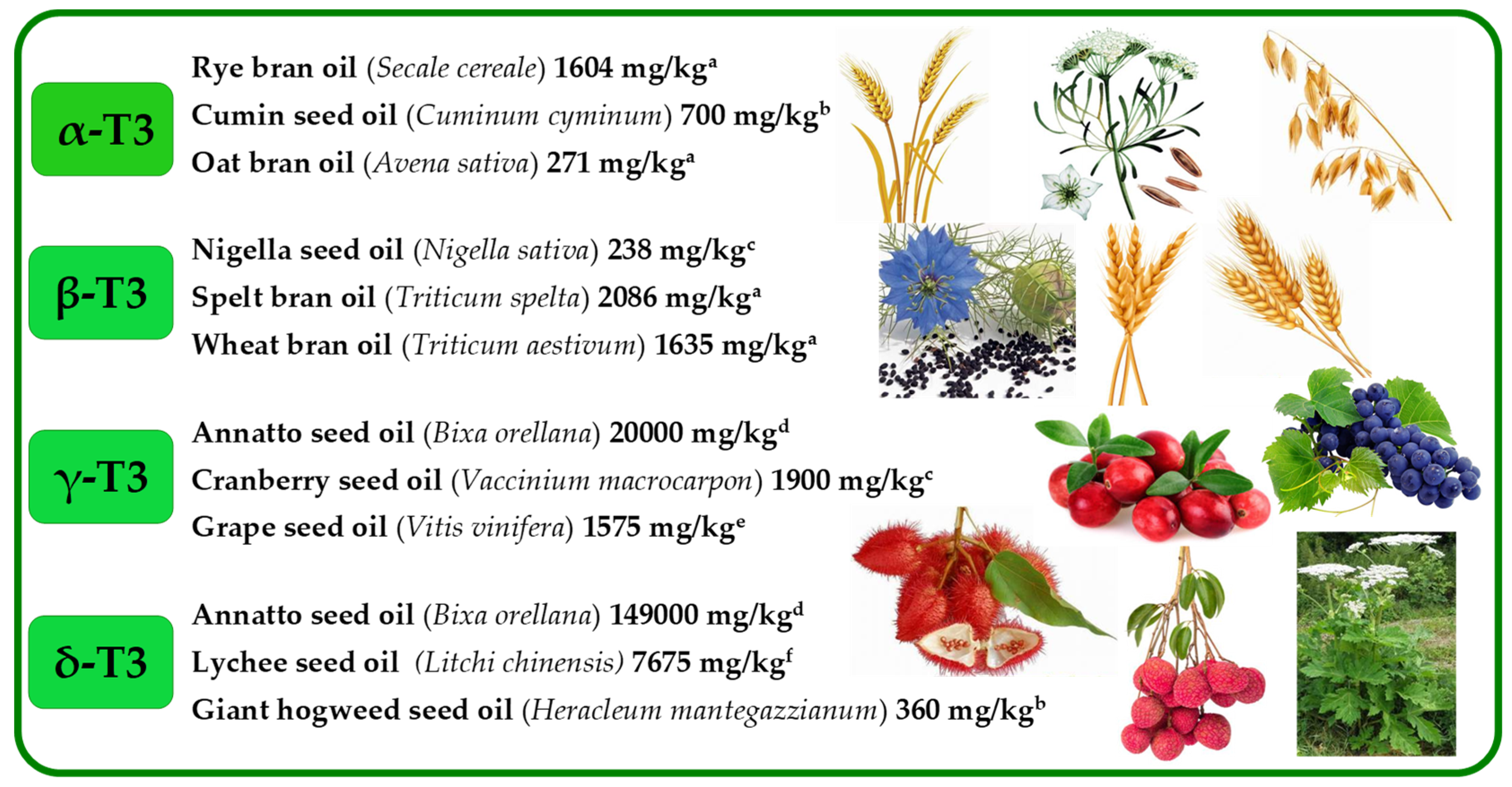 Molecules 27 06560 g005 Molecules 27 06560 g005