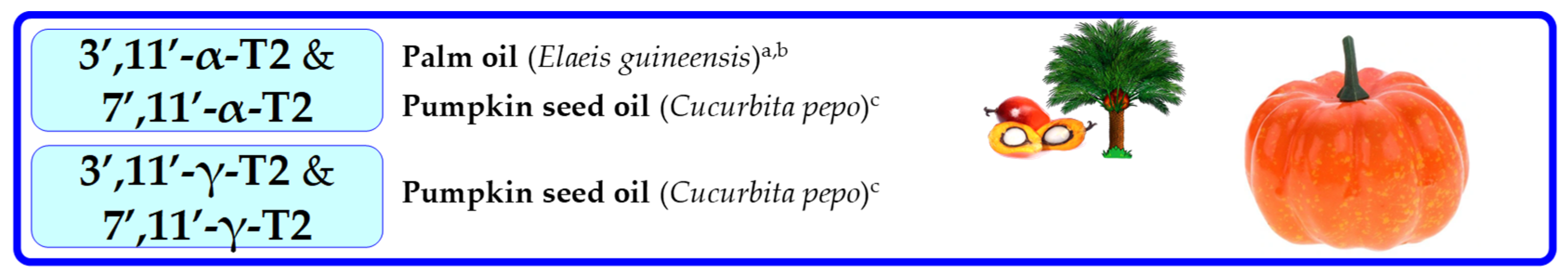 Molecules 27 06560 g010 Molecules 27 06560 g010