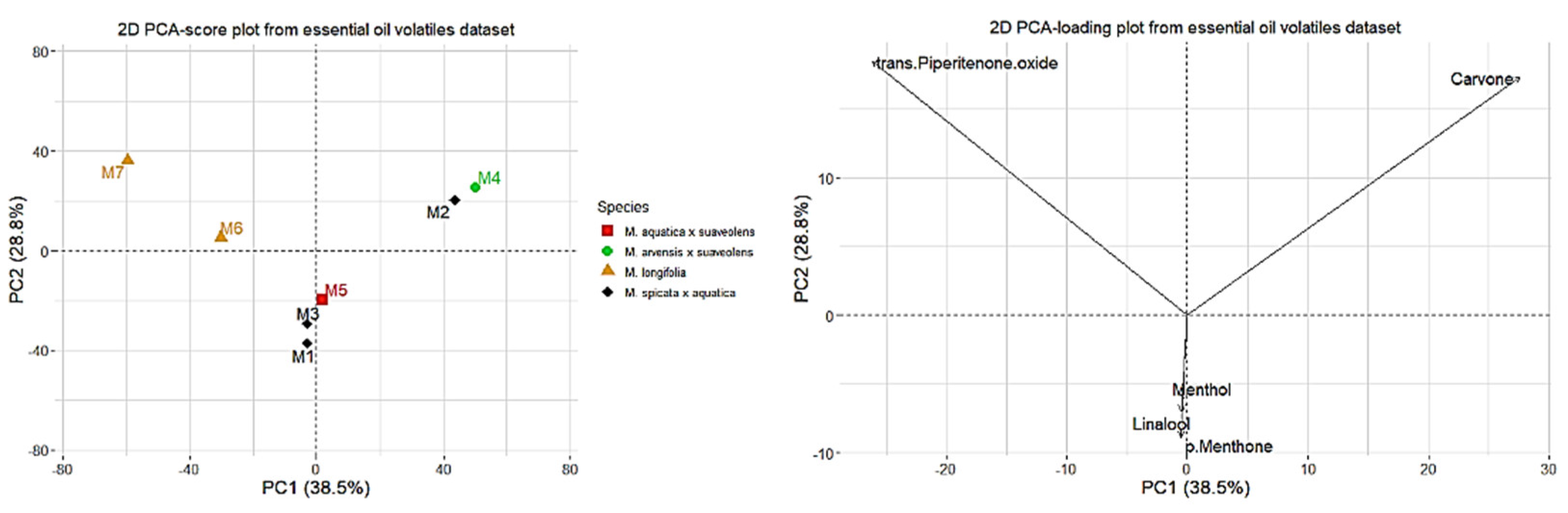 Molecules 27 06561 g003