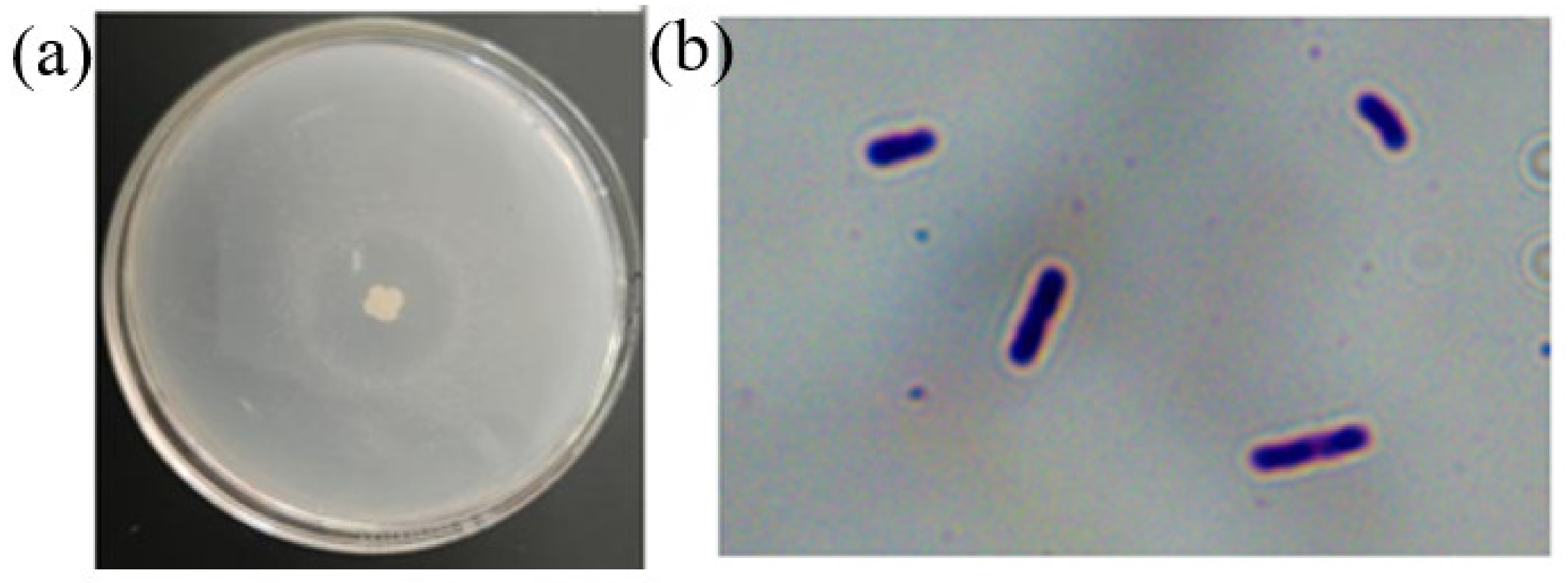 Molecules 27 06570 g001