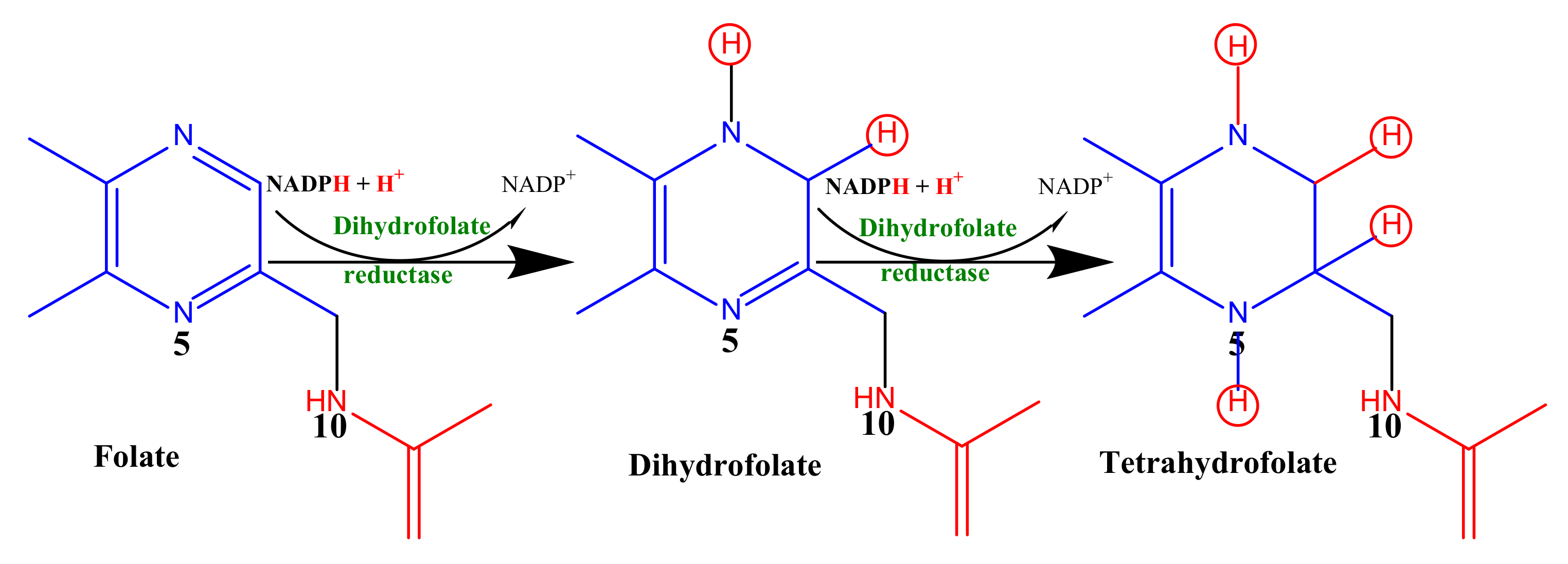 Molecules 27 06574 sch001