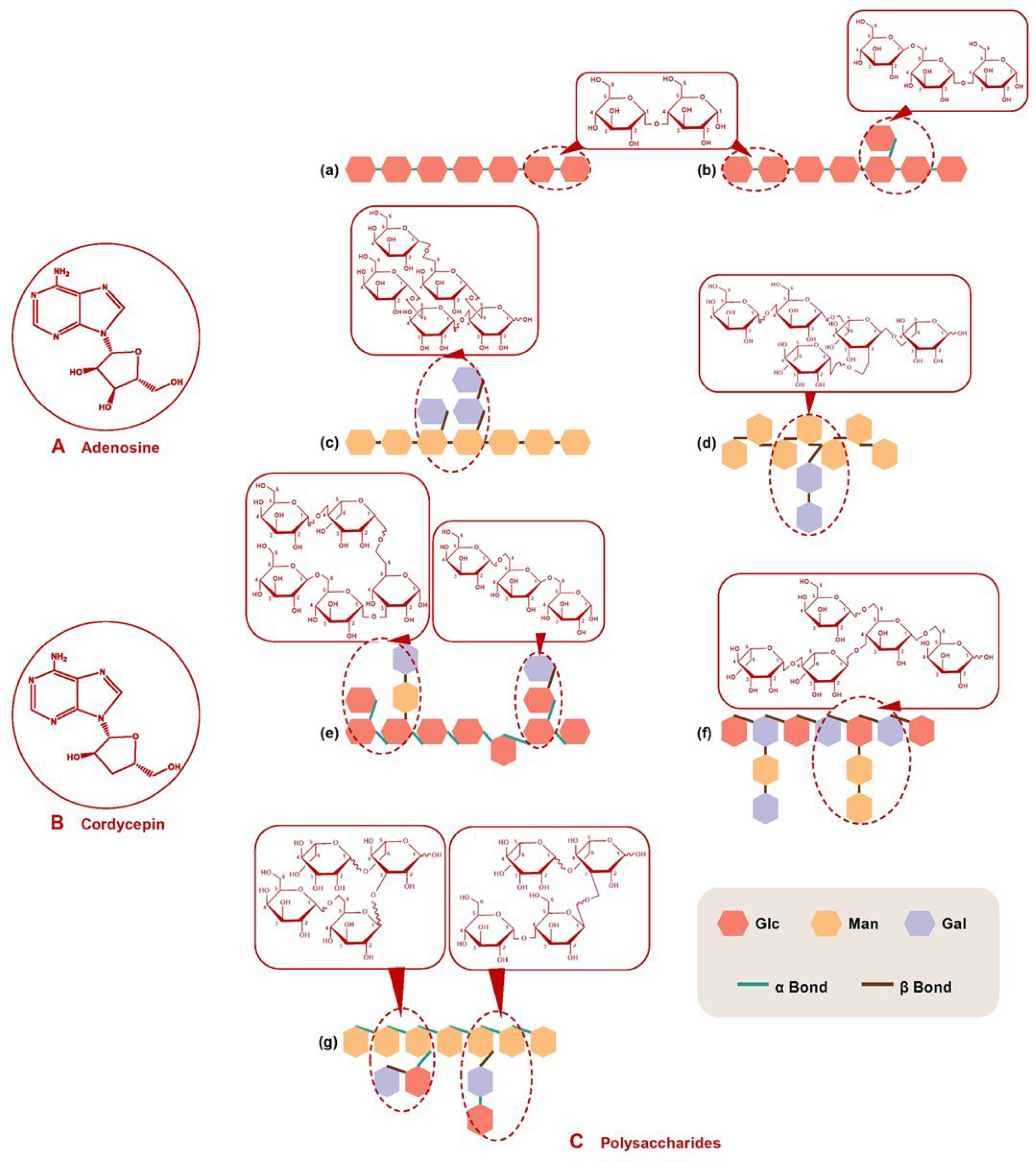 Molecules 27 06576 g001