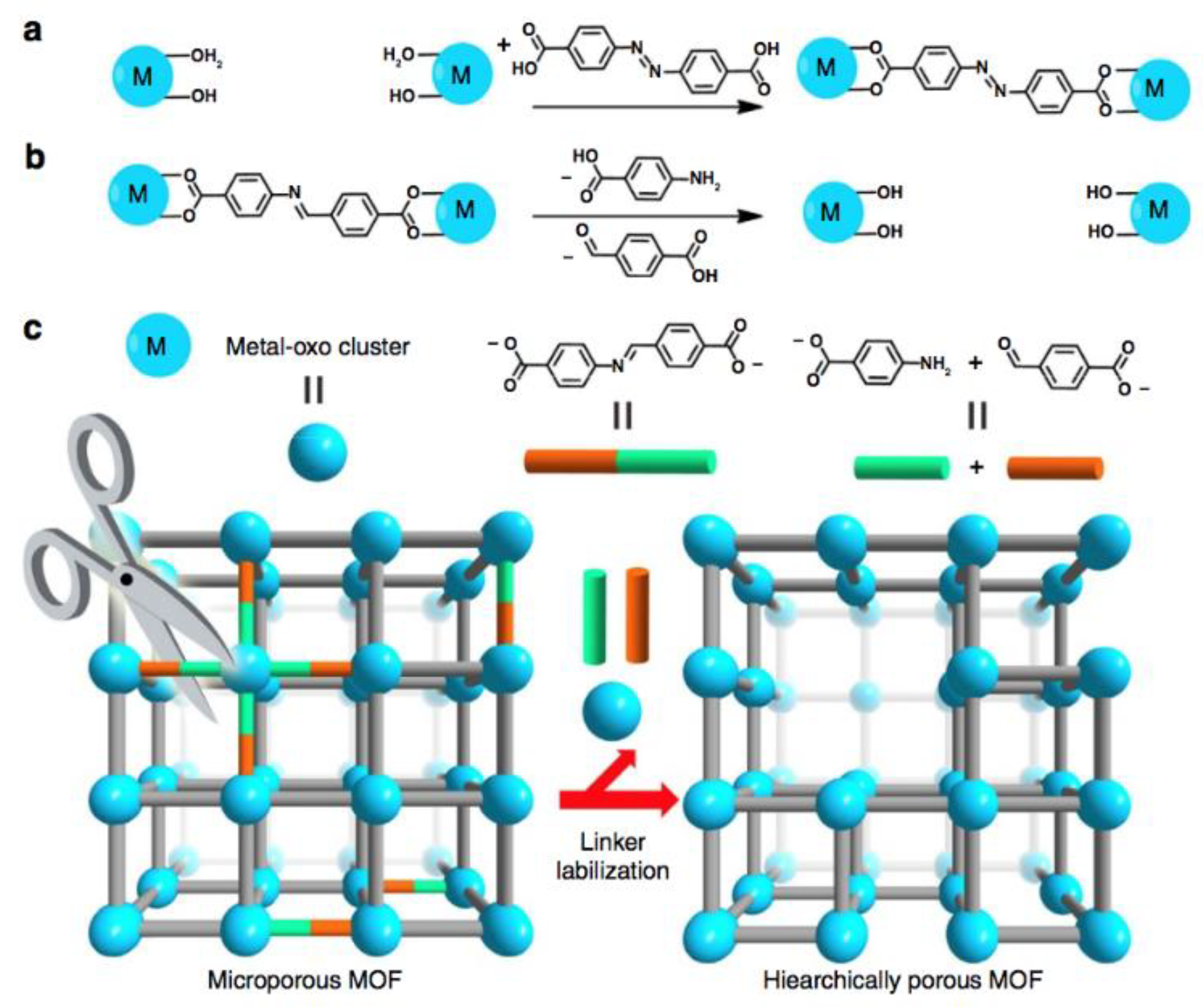 Molecules 27 06585 g006 Molecules 27 06585 g006
