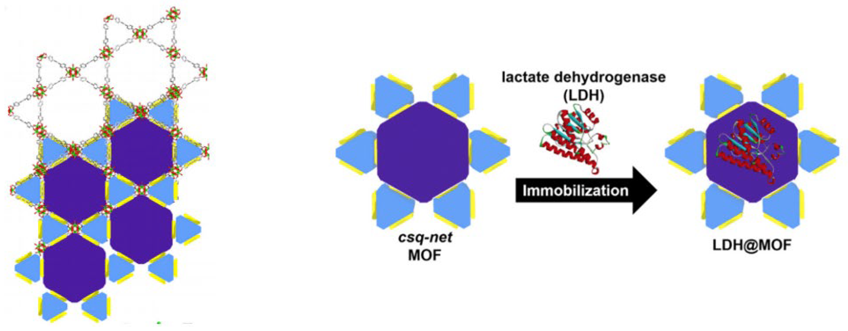 Molecules 27 06585 g010 Molecules 27 06585 g010