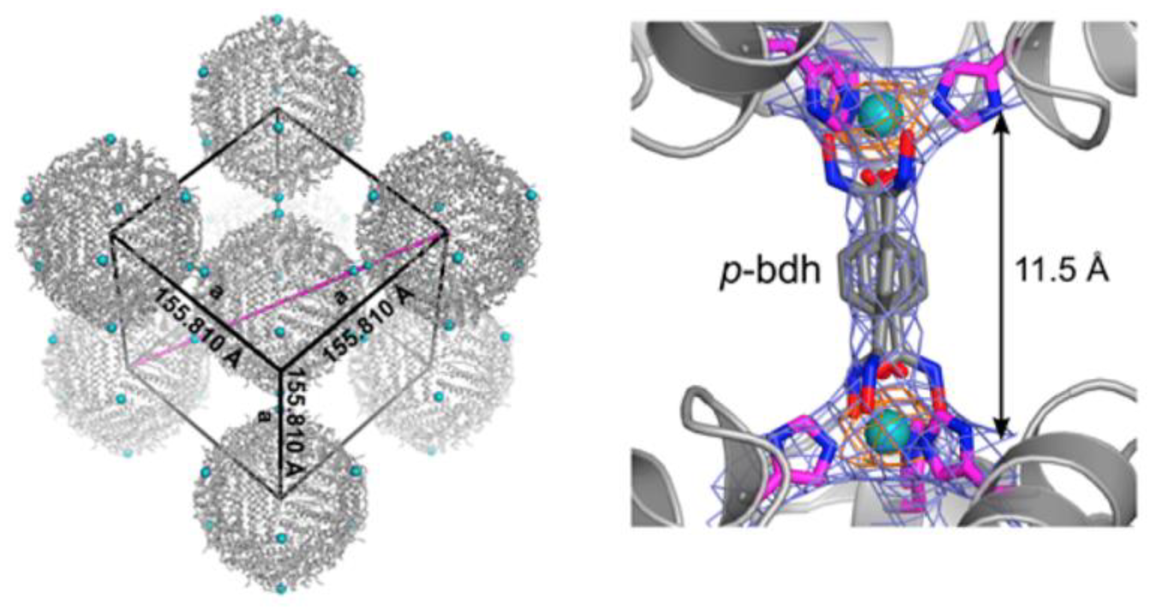 Molecules 27 06585 g011 Molecules 27 06585 g011