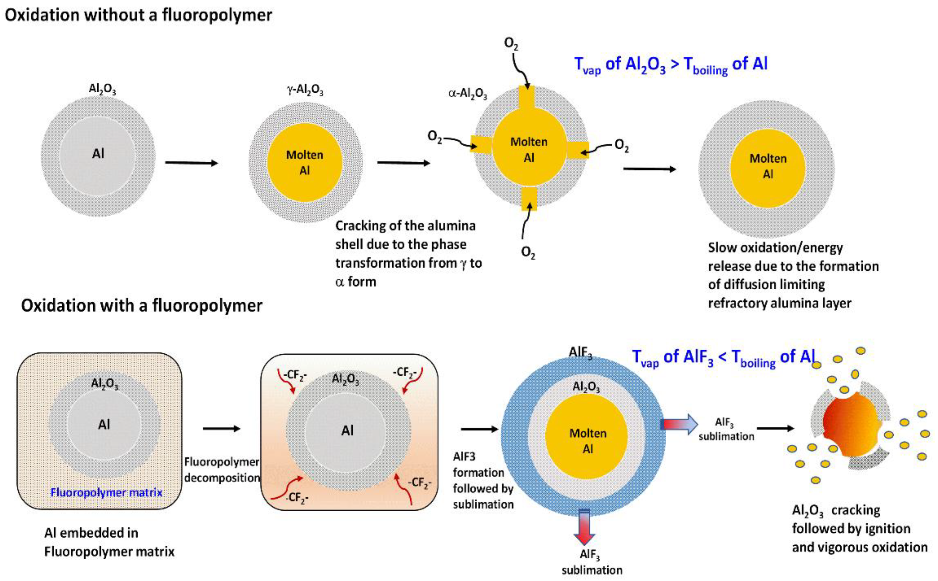Molecules 27 06598 g001 Molecules 27 06598 g001