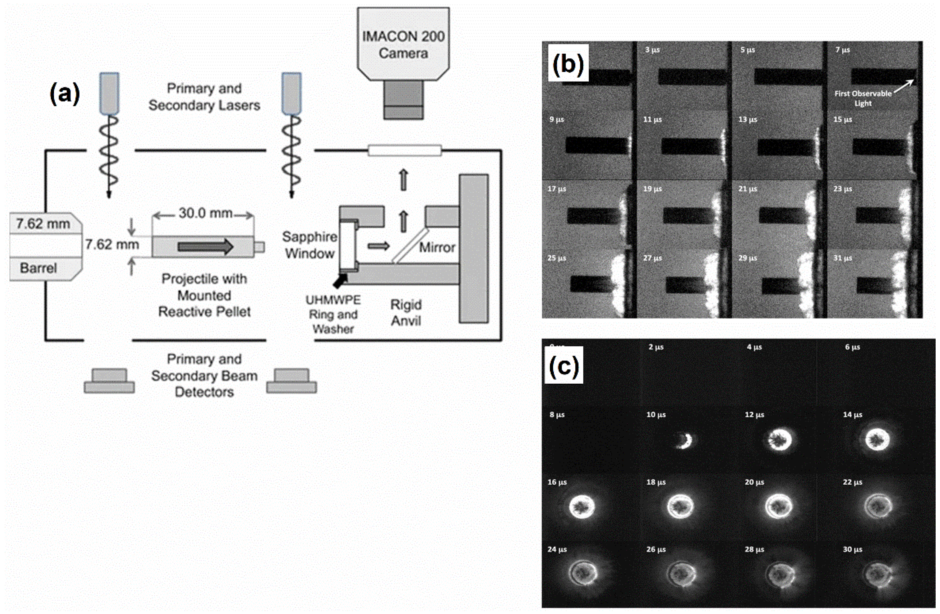 Molecules 27 06598 g013 Molecules 27 06598 g013