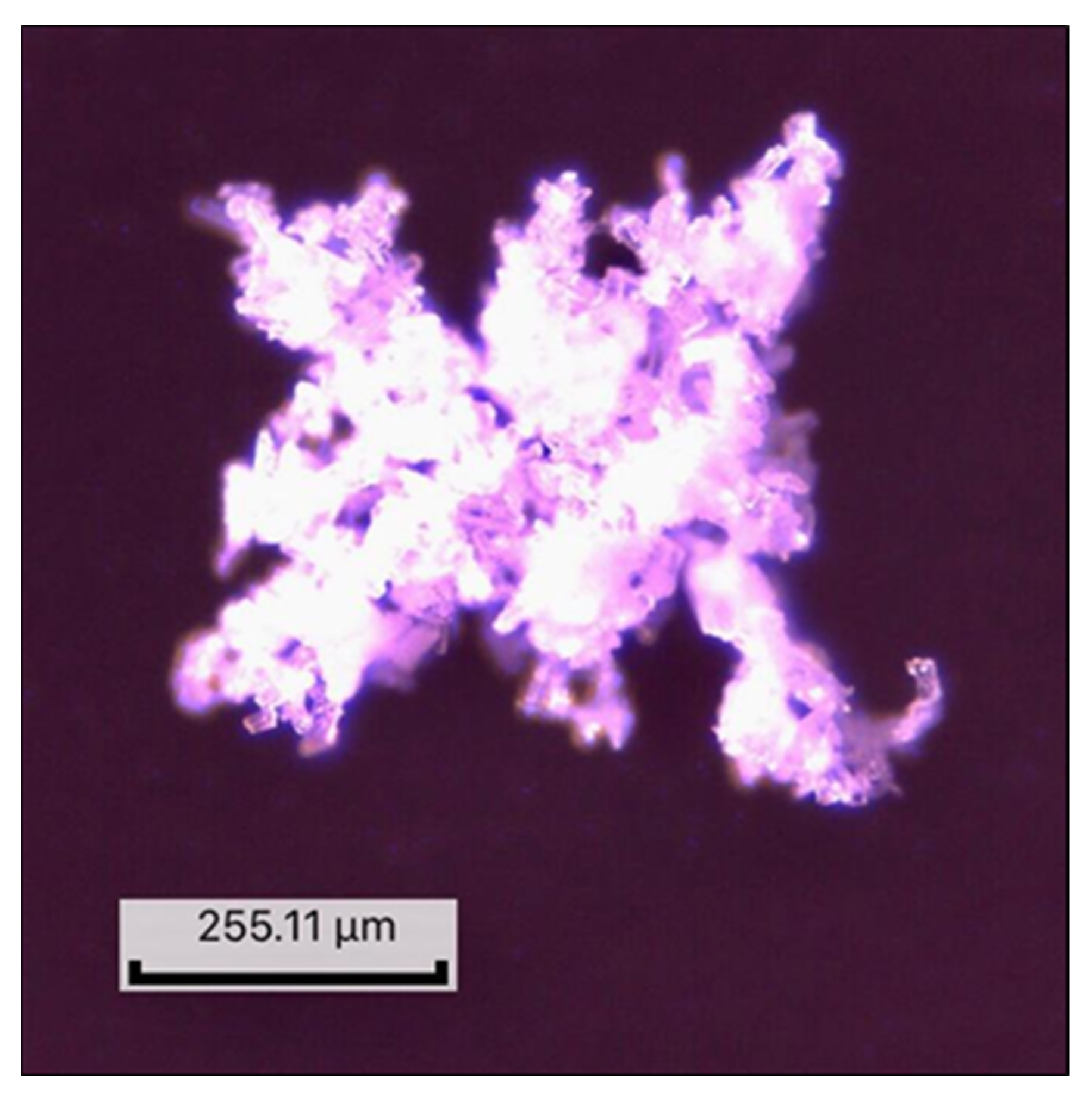 Molecules 27 06600 g004