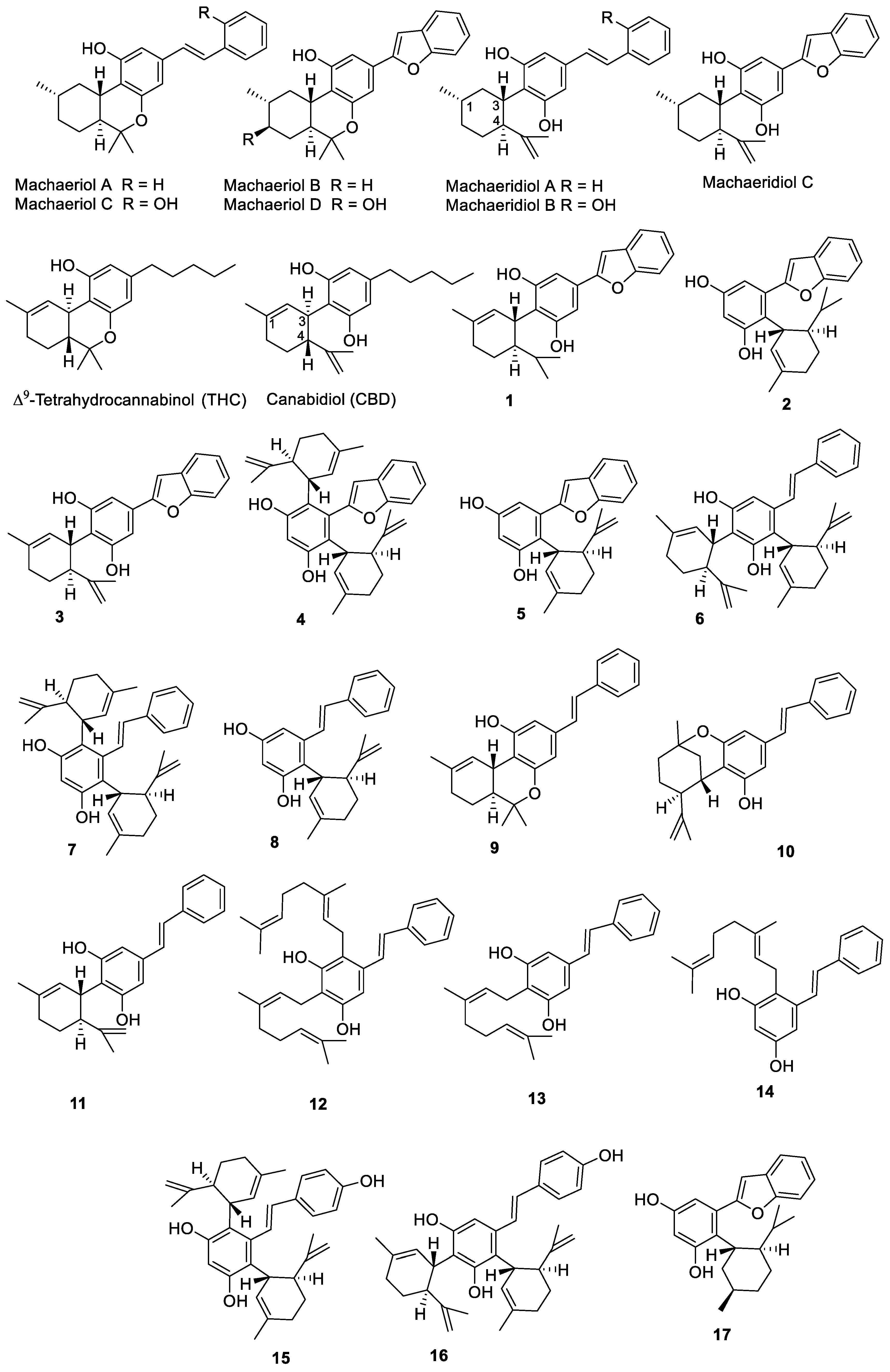 Molecules 27 06604 g001 Molecules 27 06604 g001