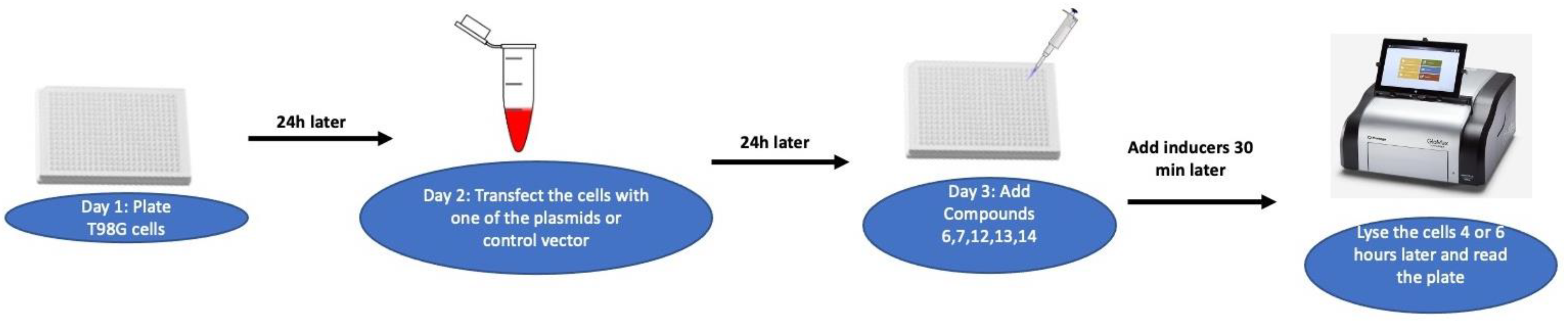 Molecules 27 06604 sch005 Molecules 27 06604 sch005