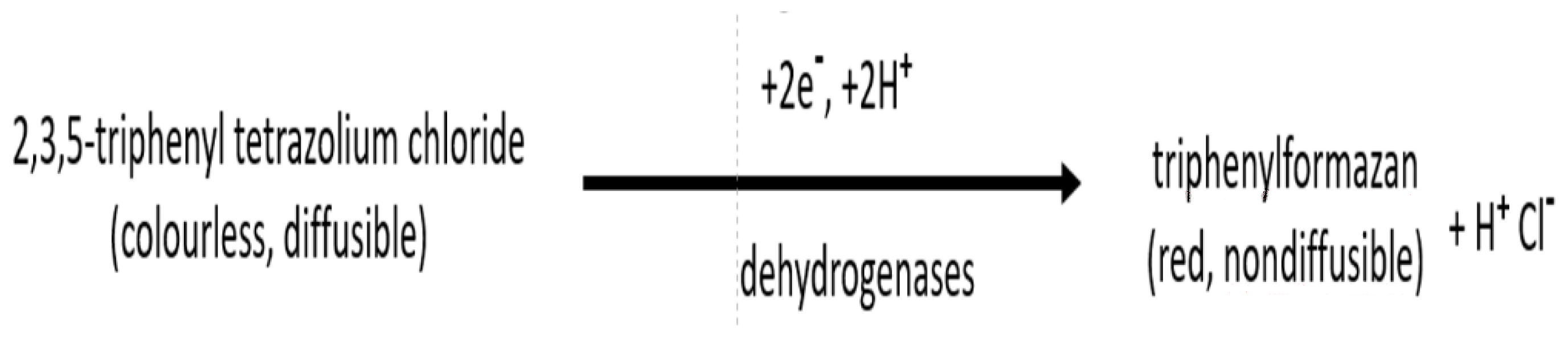 Molecules 27 06607 sch001