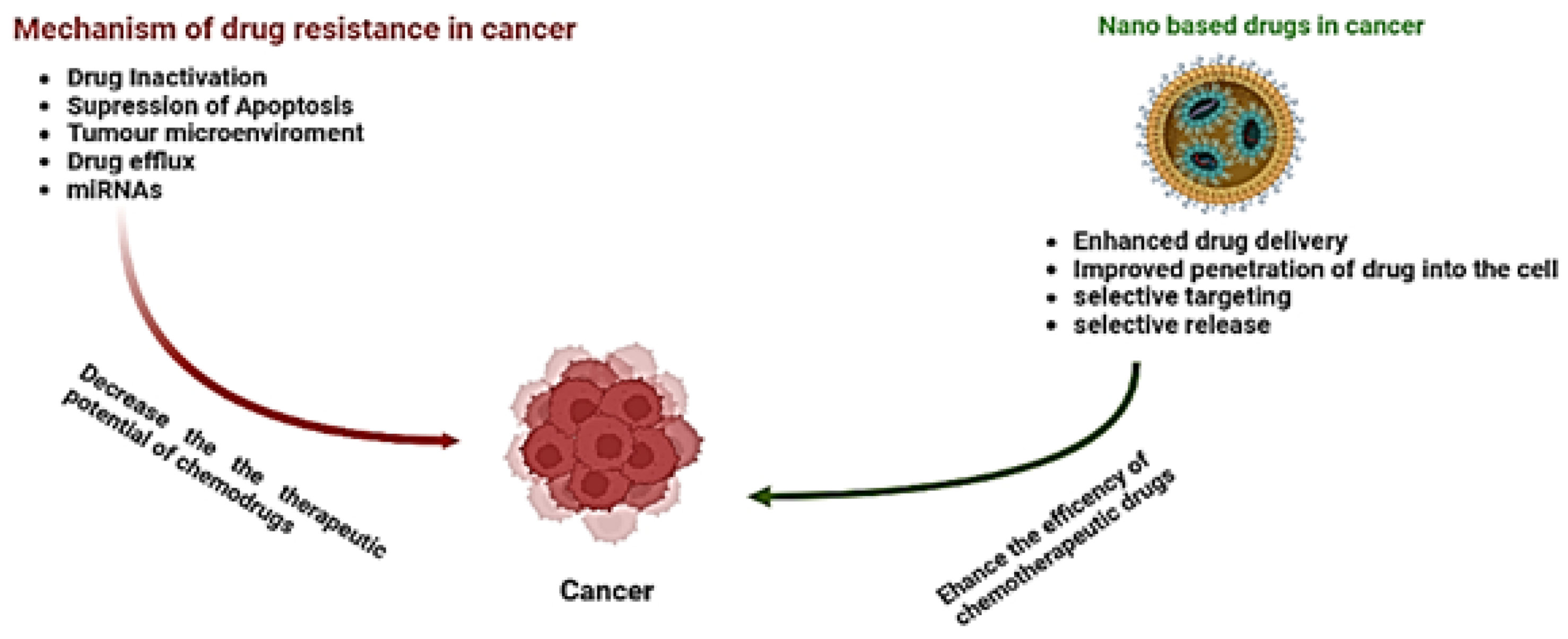 Molecules 27 06608 g002