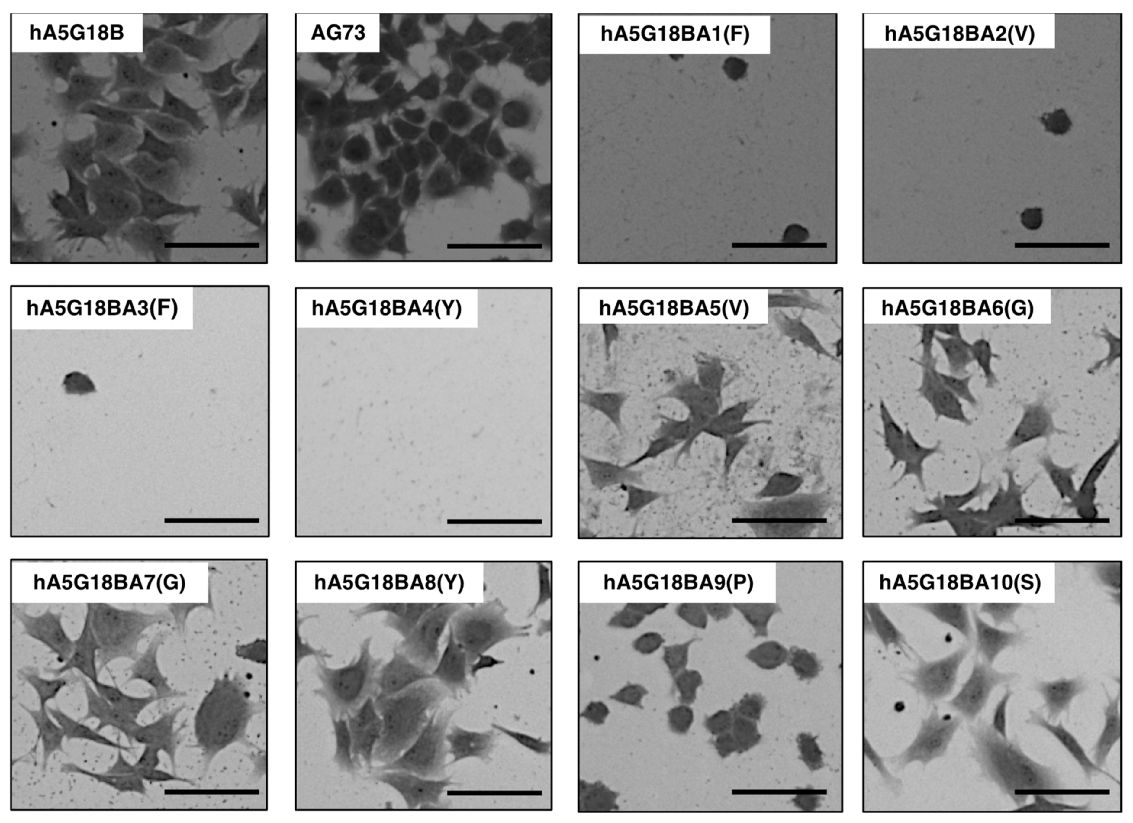 Molecules 27 06610 g004 Molecules 27 06610 g004