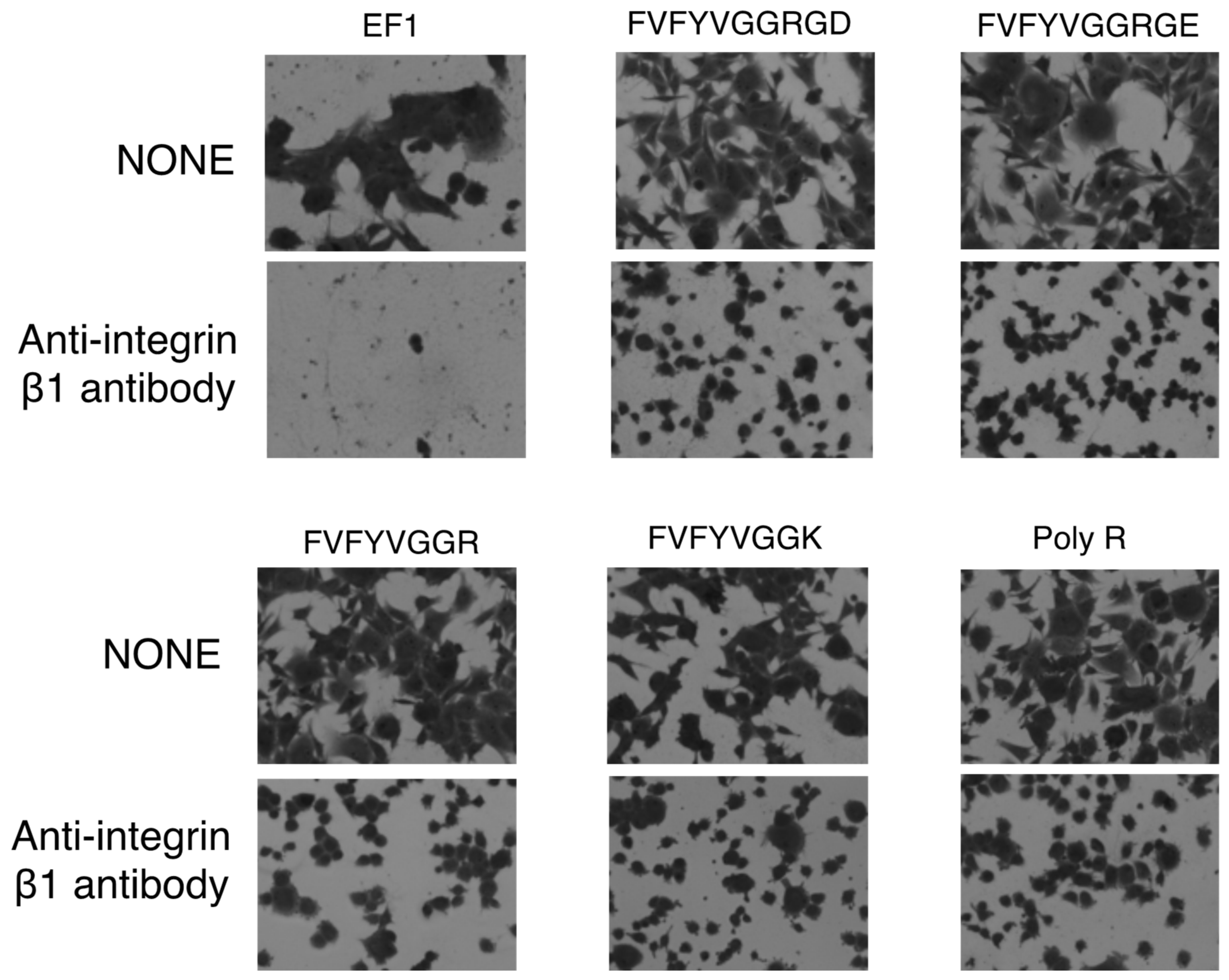 Molecules 27 06610 g008 Molecules 27 06610 g008