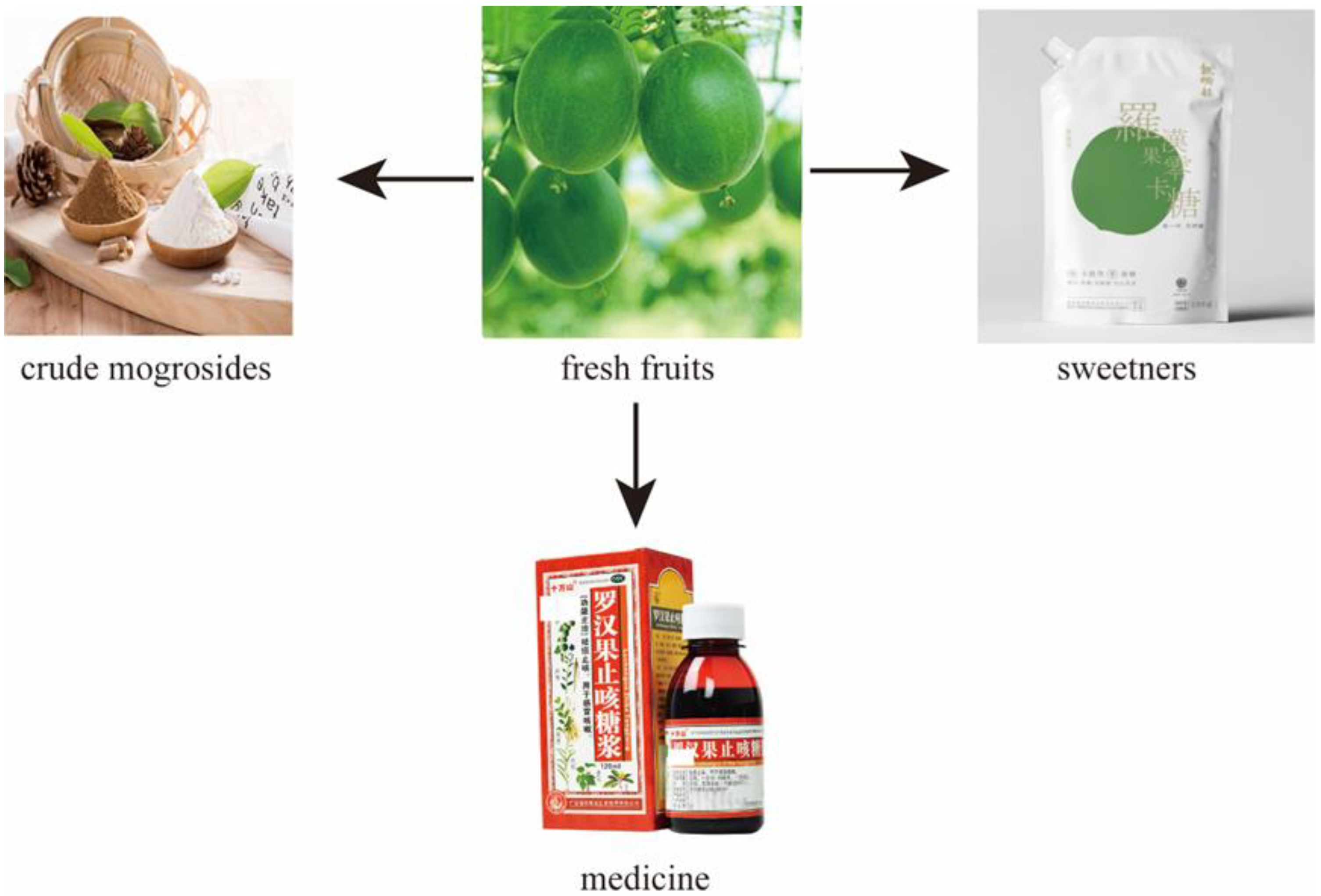 Molecules 27 06618 g001