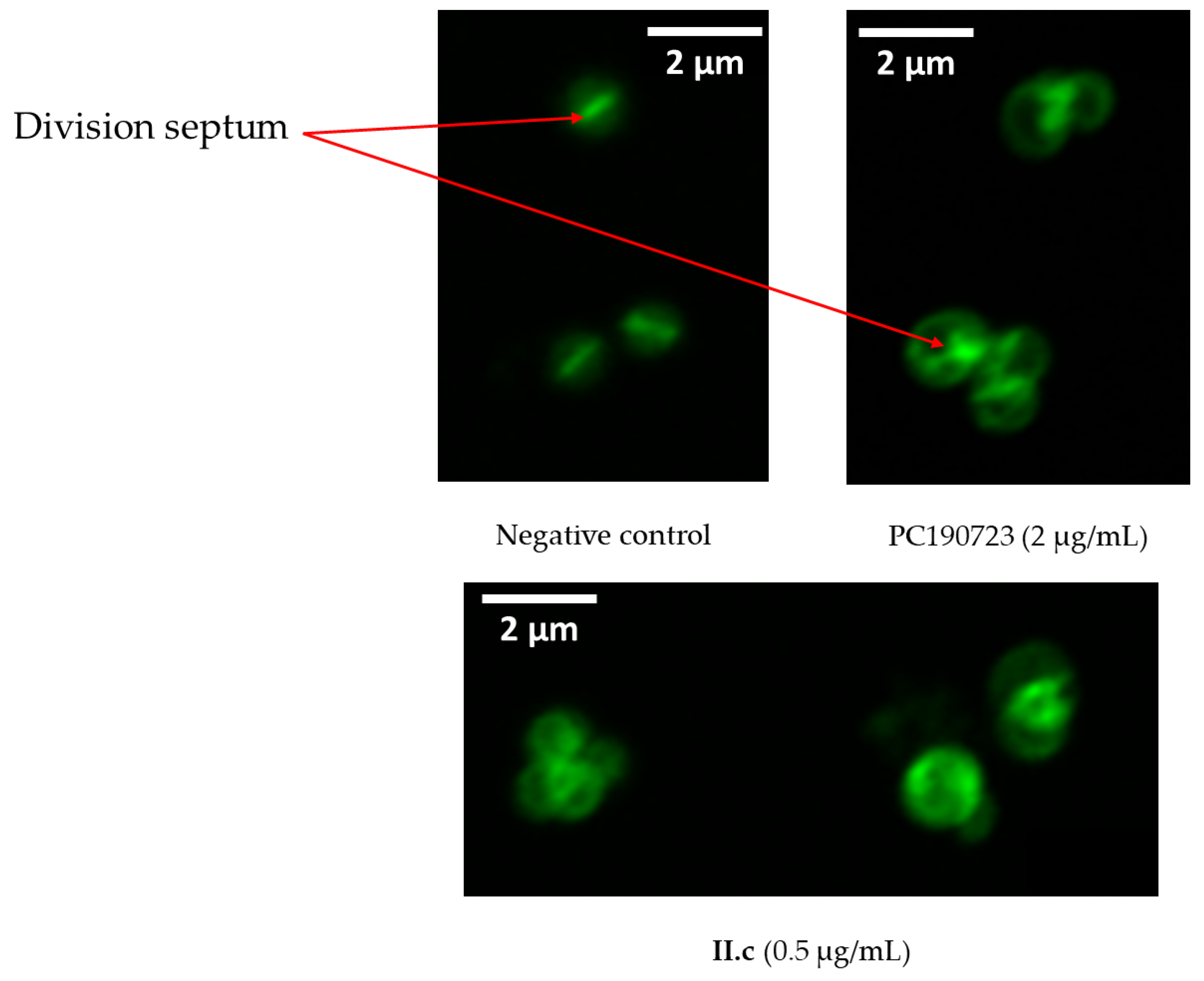 Molecules 27 06619 g003