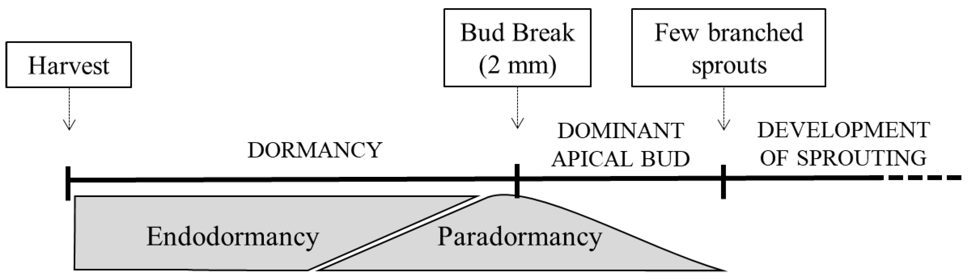 Molecules 27 06621 g001