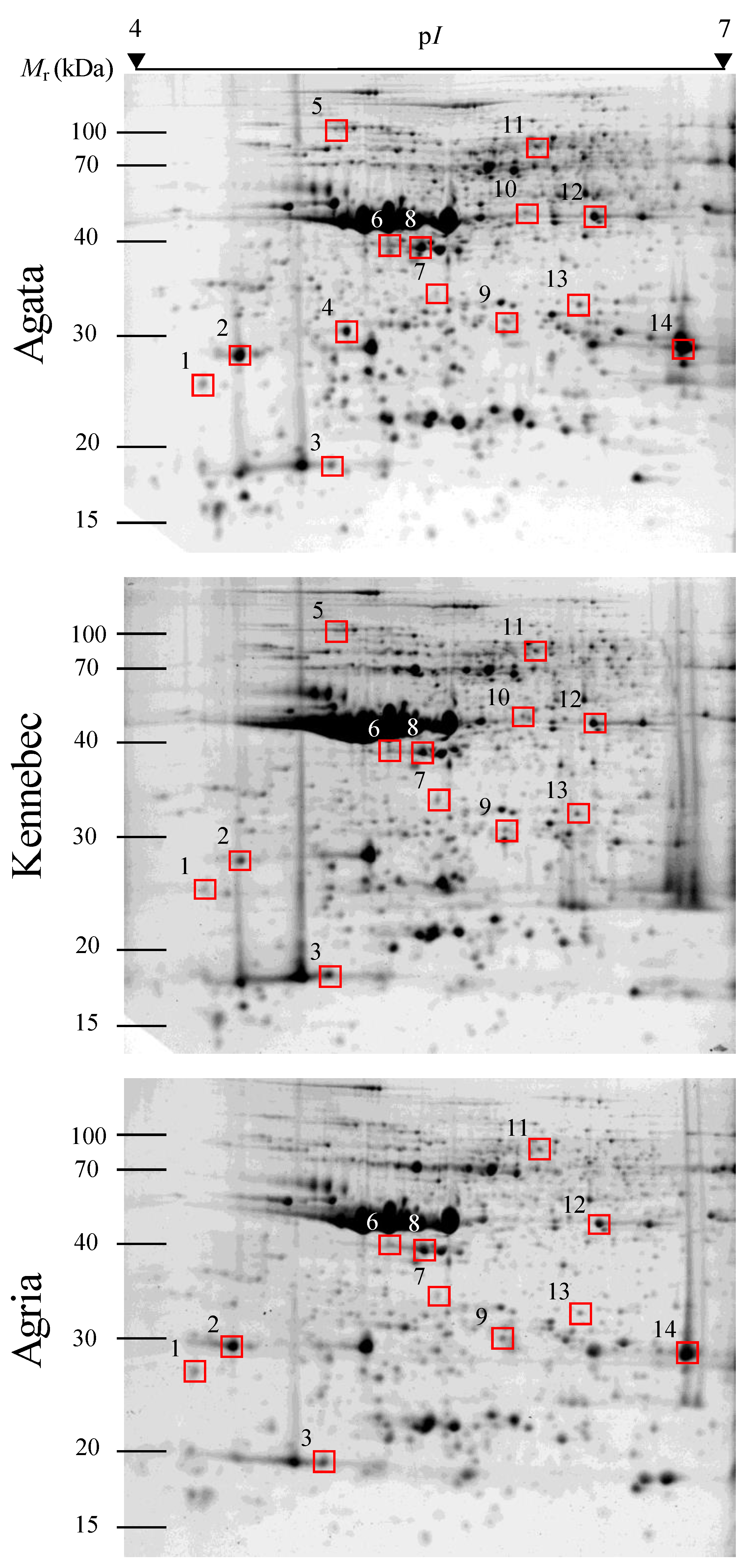 Molecules 27 06621 g002