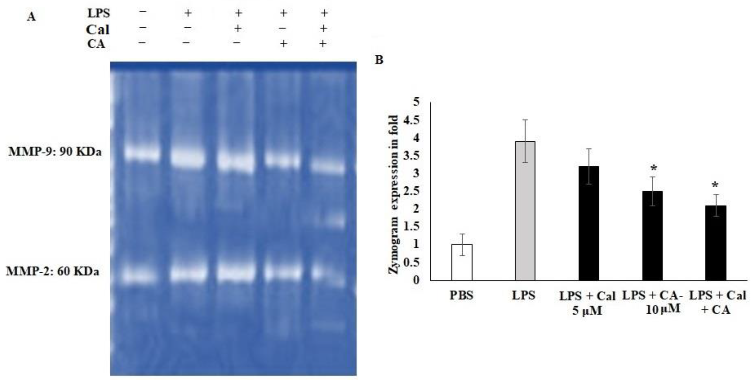 Molecules 27 06624 g005