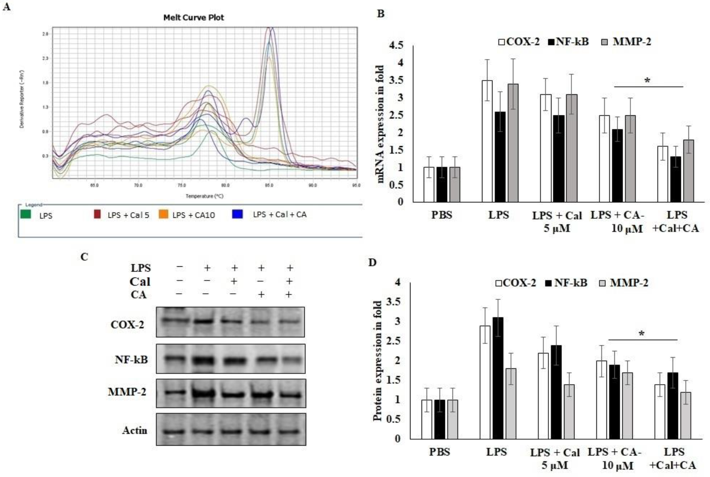 Molecules 27 06624 g006
