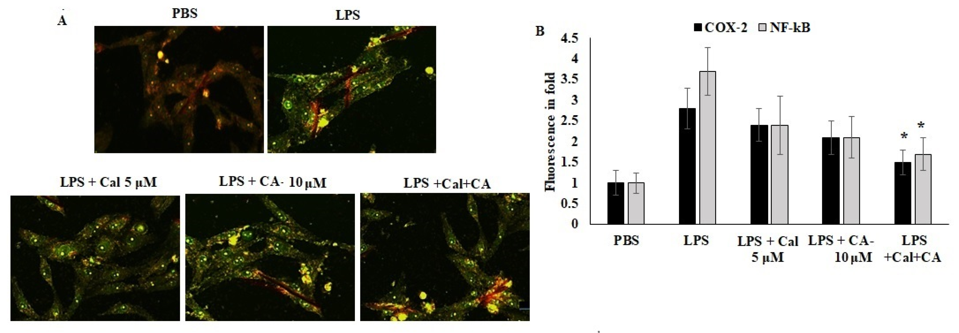 Molecules 27 06624 g007