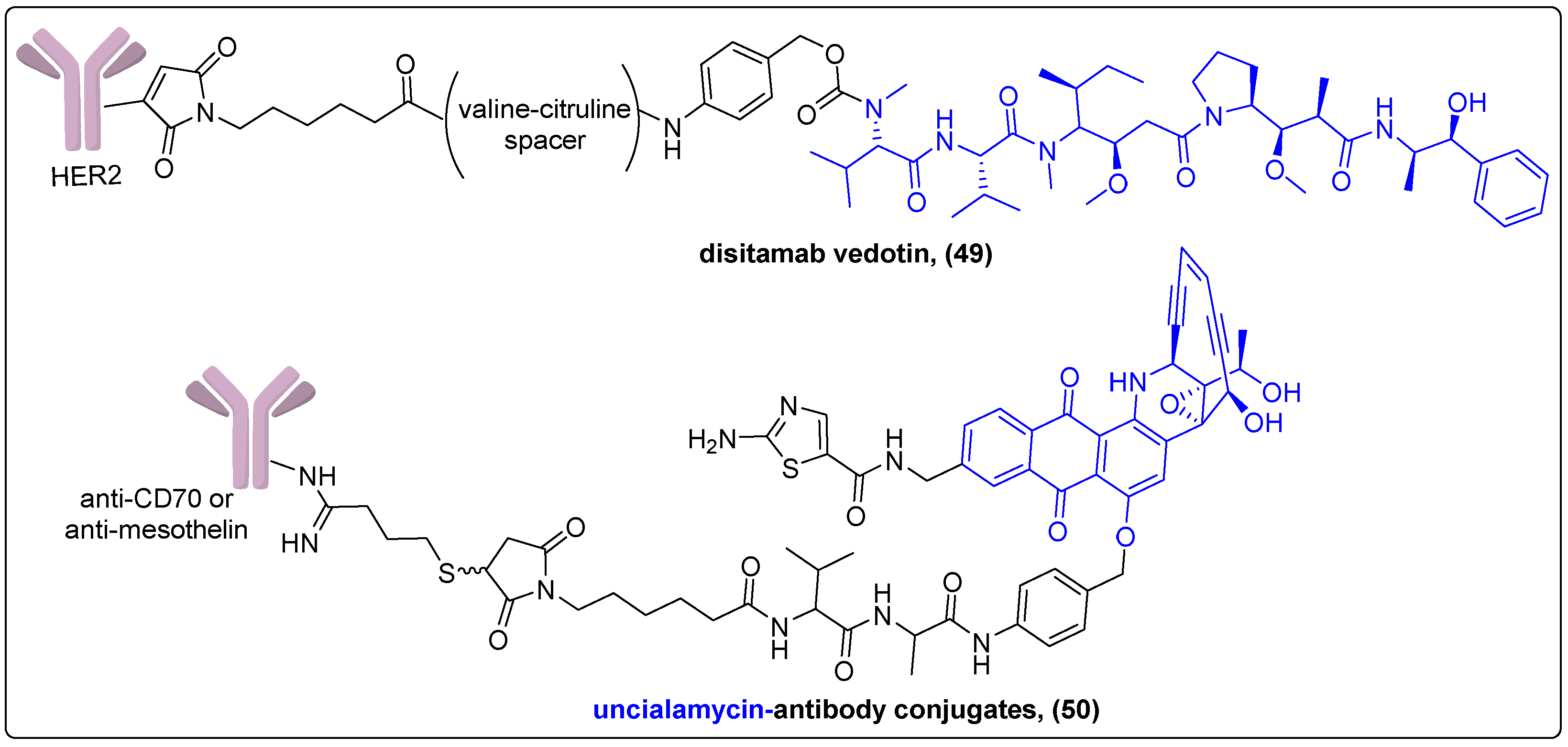 Molecules 27 06632 g015