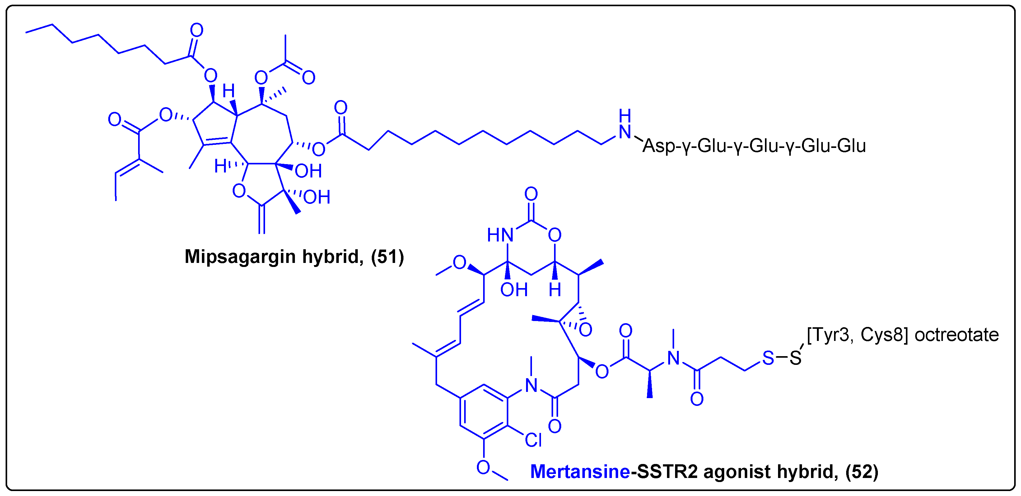 Molecules 27 06632 g016
