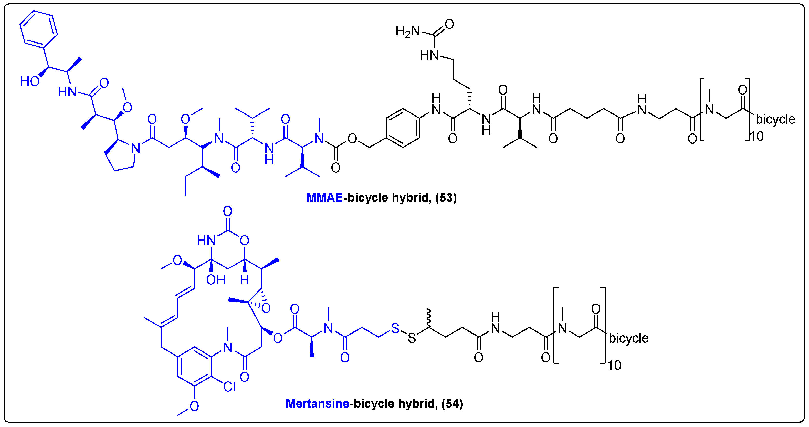 Molecules 27 06632 g017