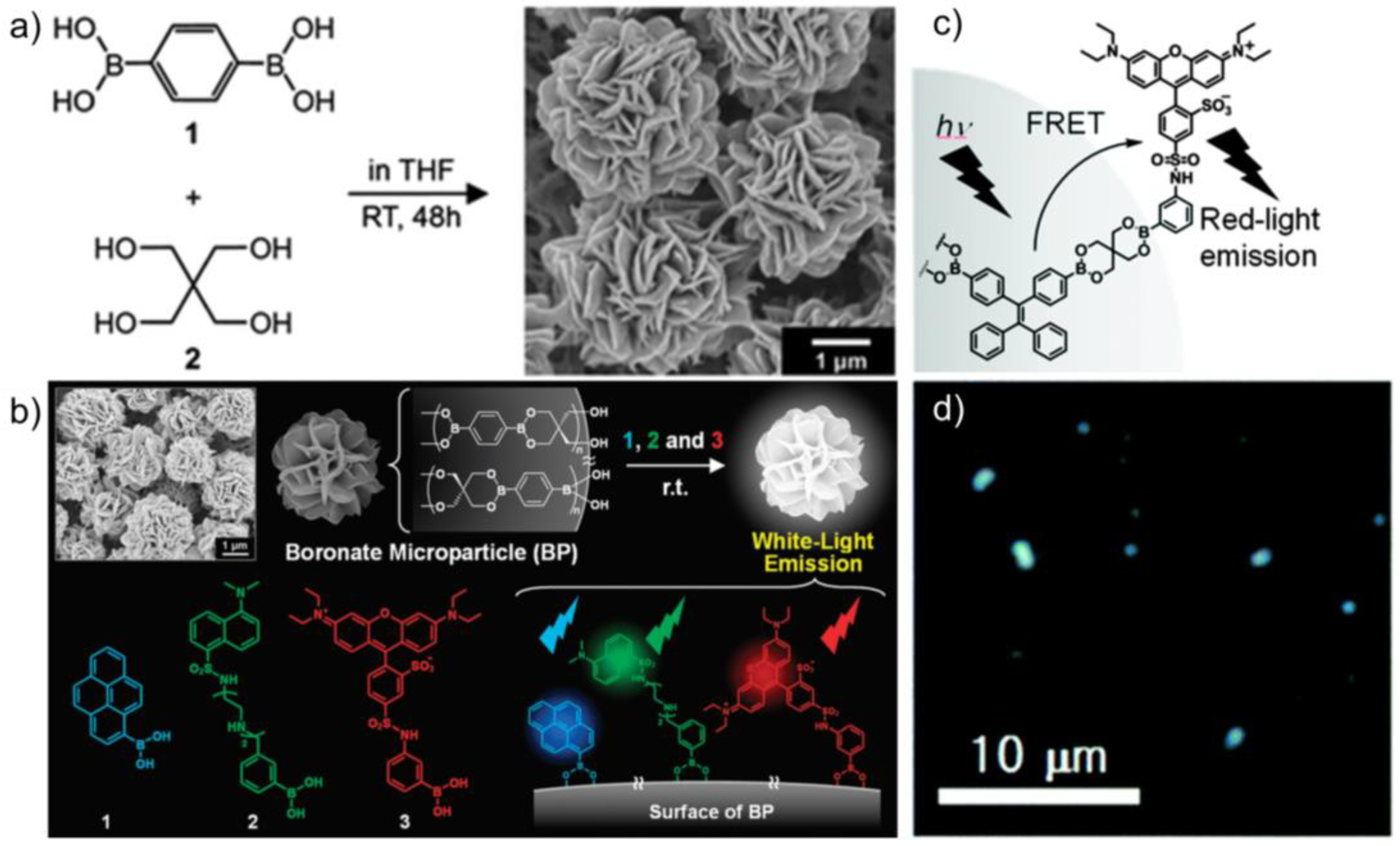 Molecules 27 06635 g005 Molecules 27 06635 g005