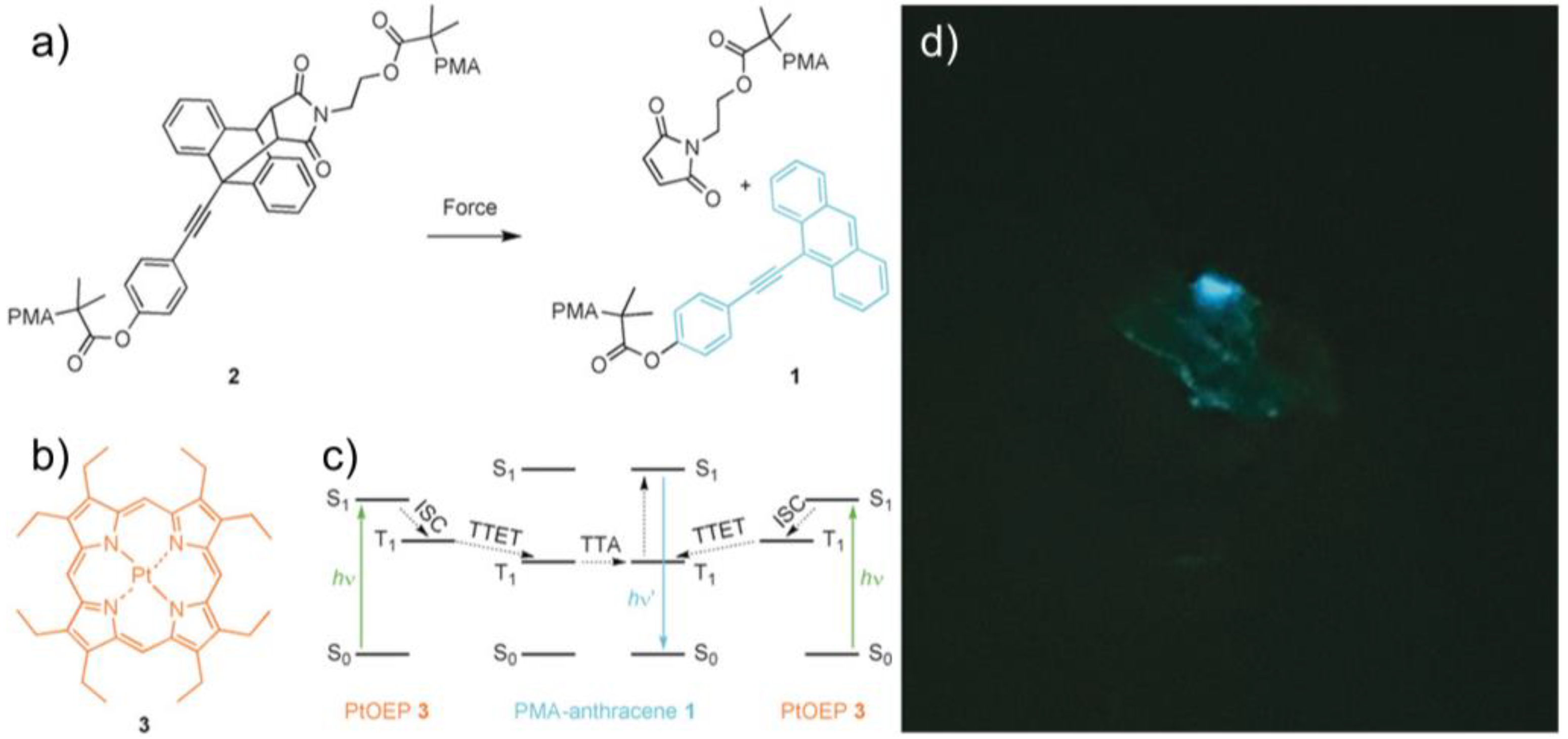 Molecules 27 06635 g009 Molecules 27 06635 g009