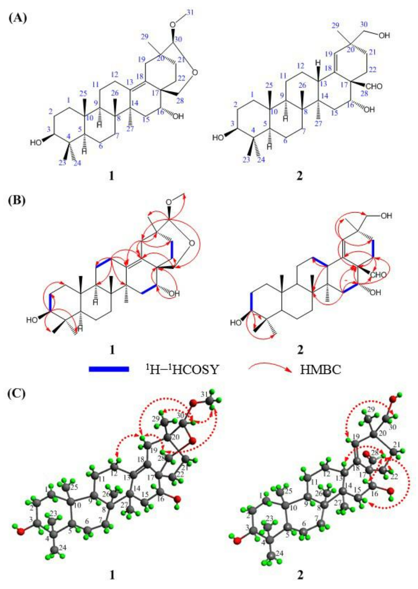 Molecules 27 06641 g001