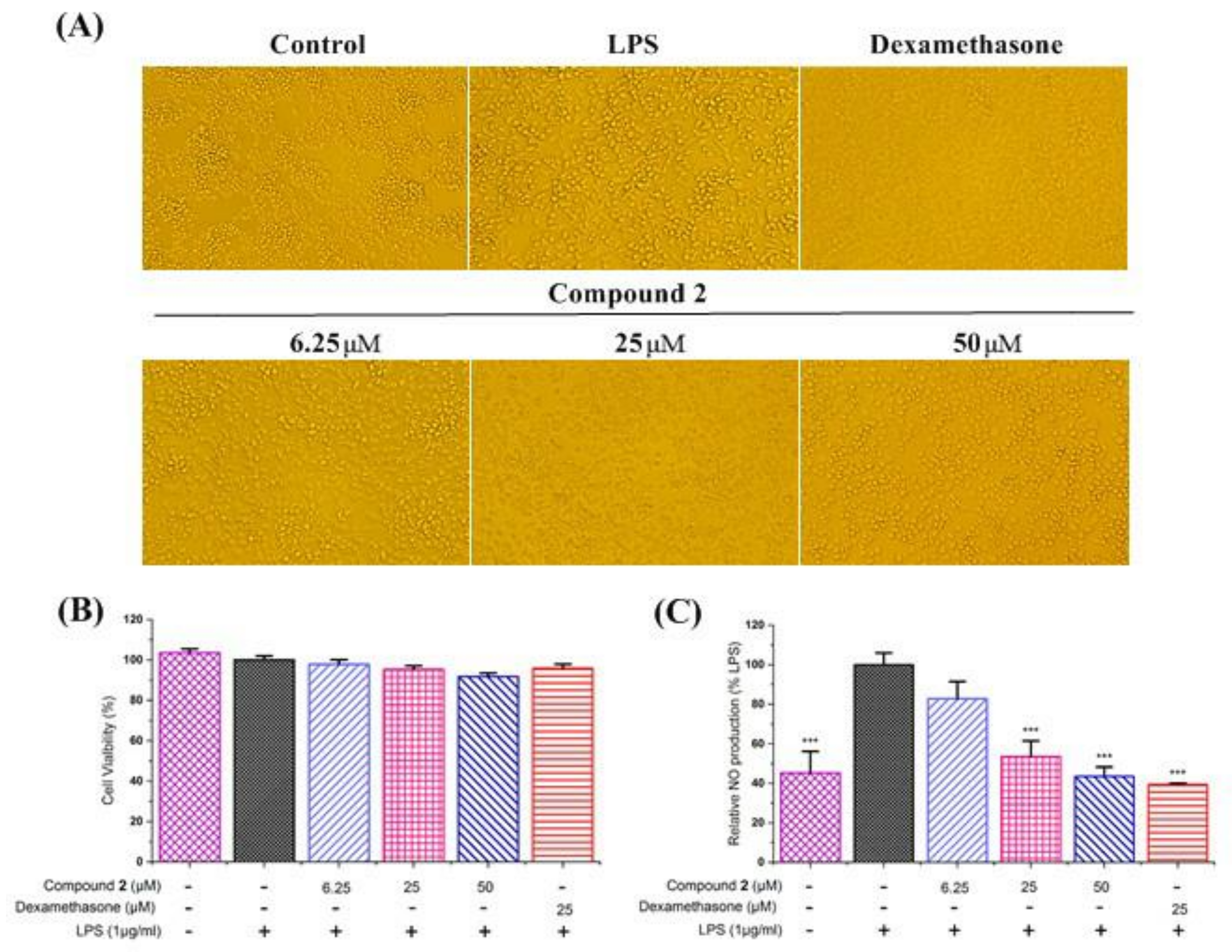 Molecules 27 06641 g005