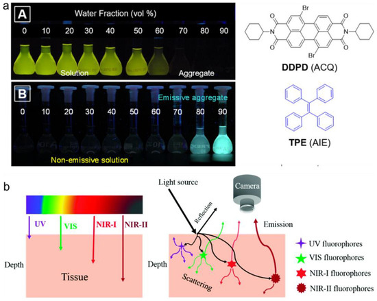Molecules 27 06649 g001