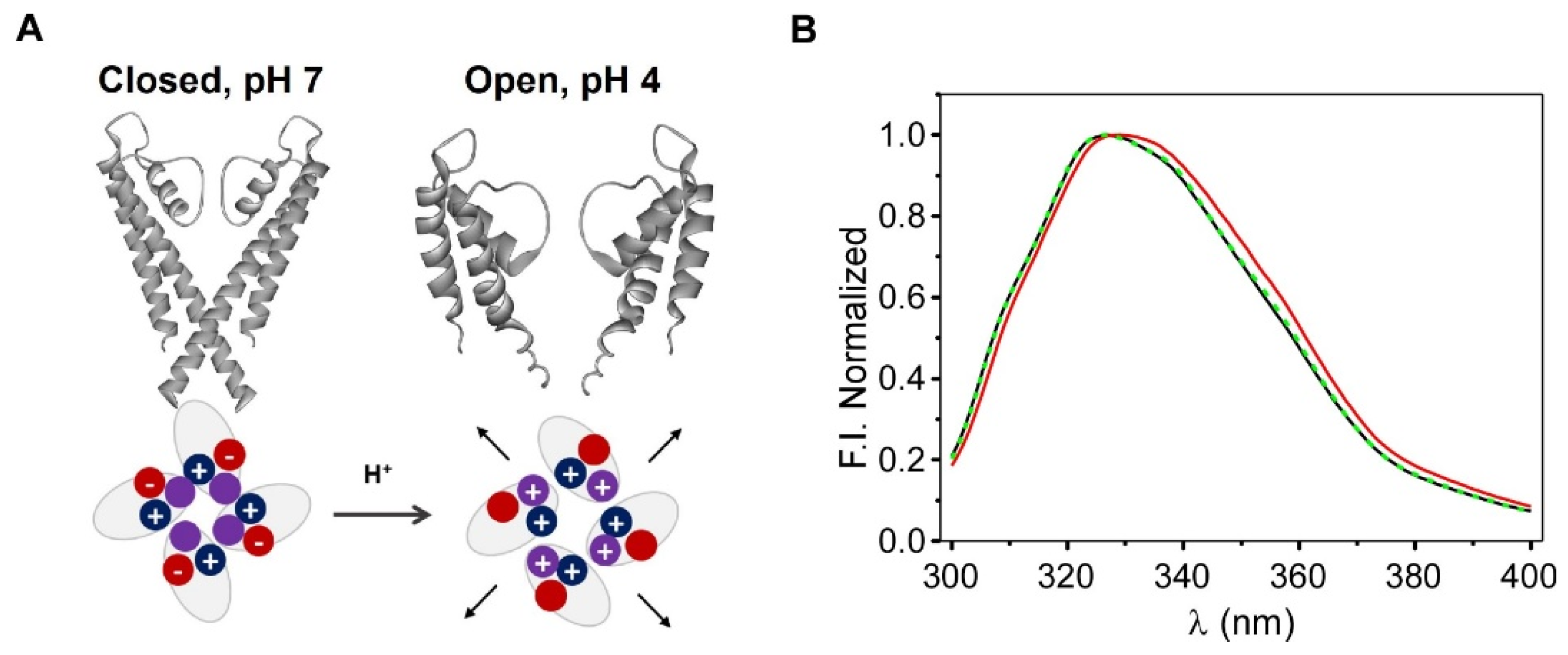 Molecules 27 06658 g004
