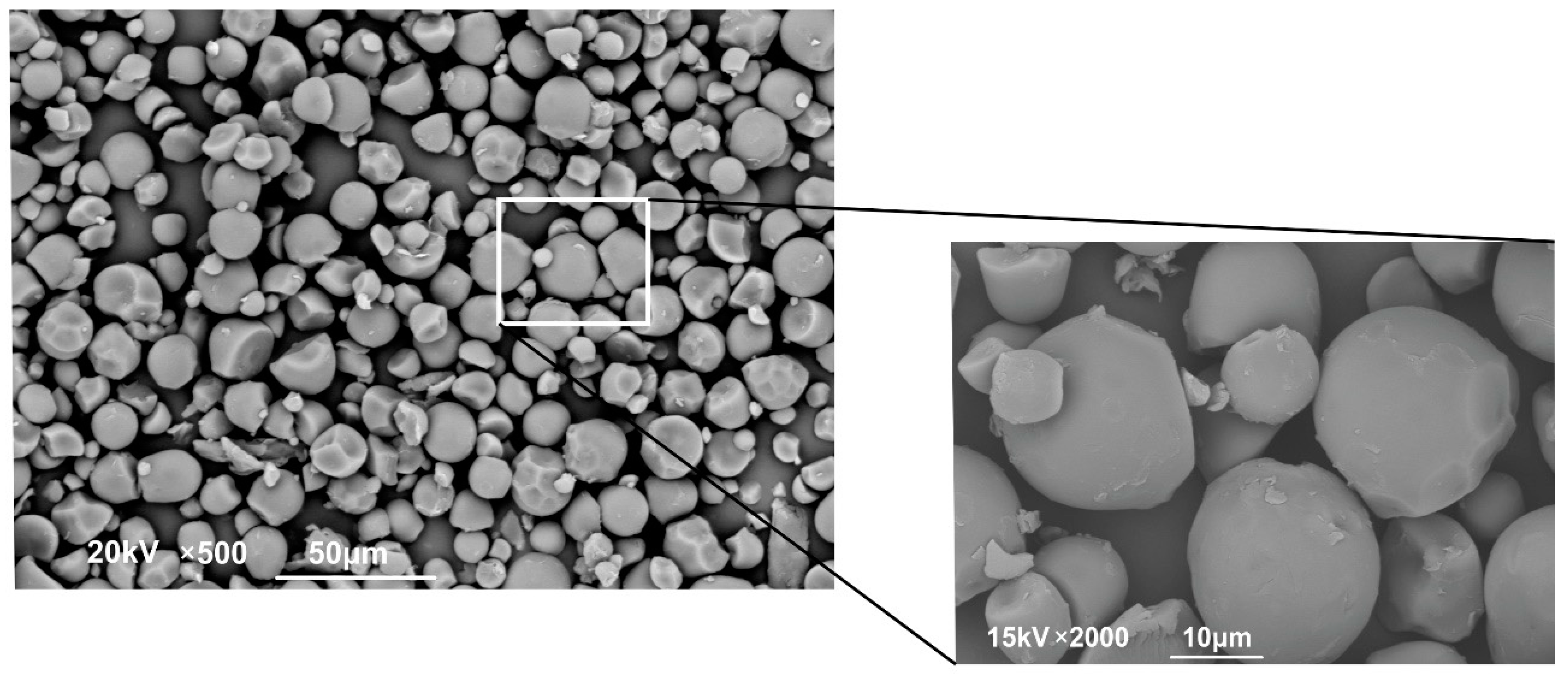 Molecules 27 06661 g009 Molecules 27 06661 g009