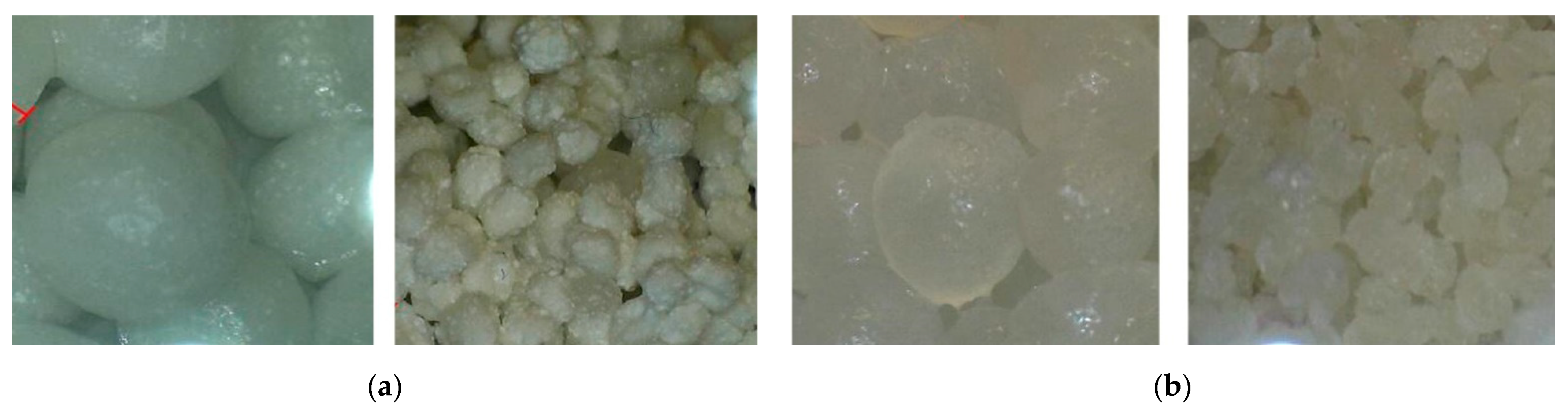 Molecules 27 06664 g003