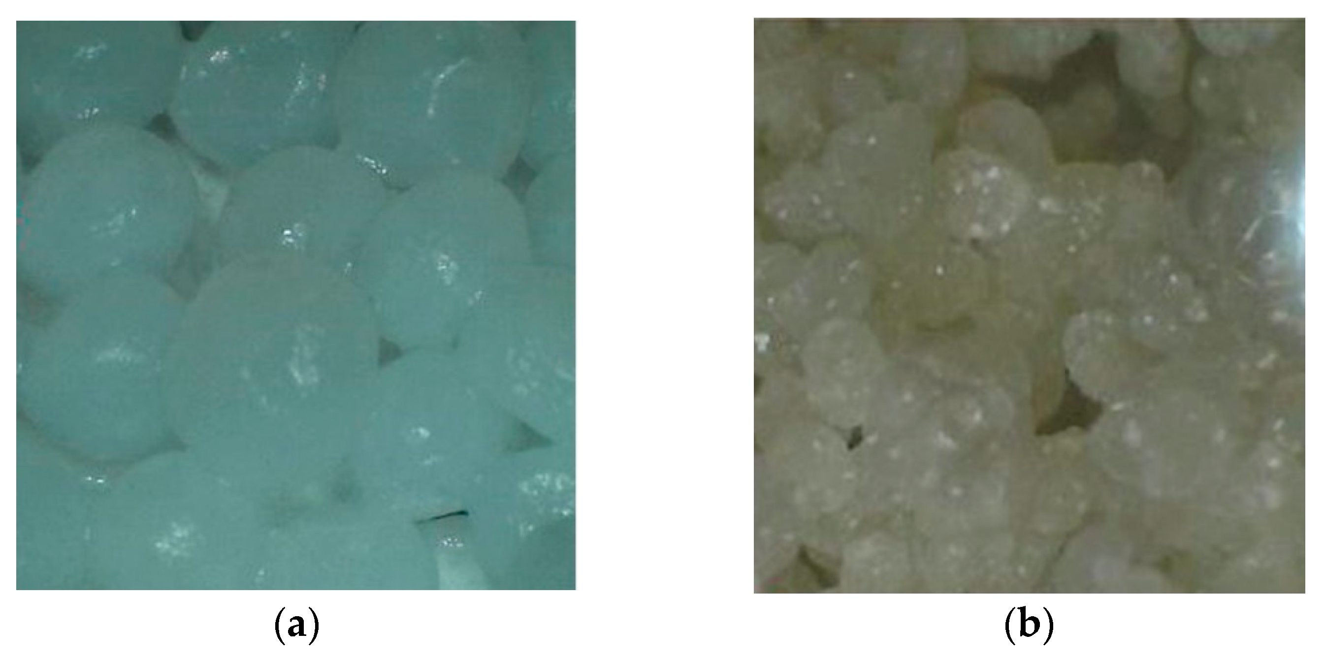 Molecules 27 06664 g004