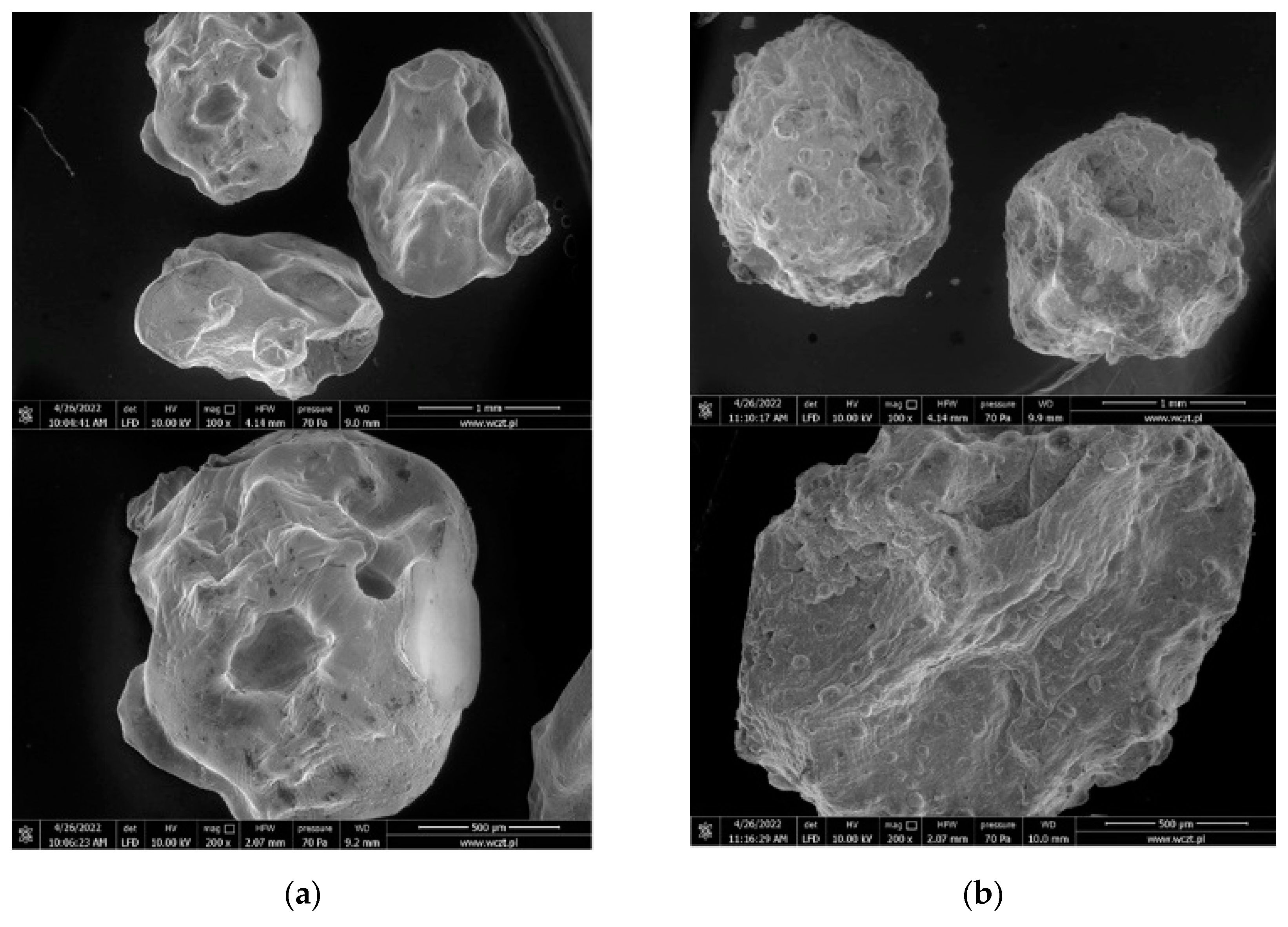 Molecules 27 06664 g005